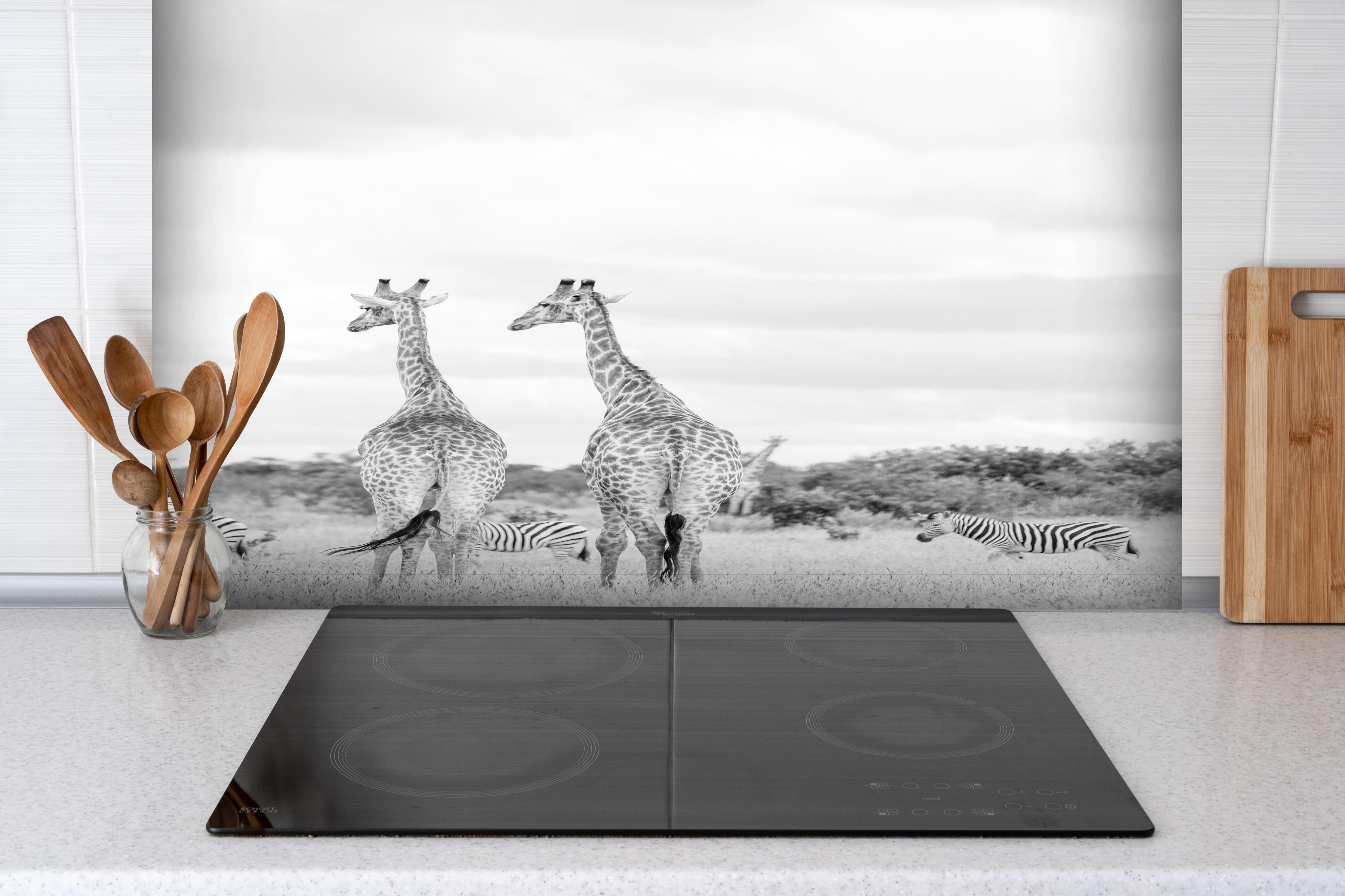 Spritzschutz - Giraffen und Zebras - schwarz-weiß hinter einem Cerankochfeld zwischen Holz-Kochutensilien