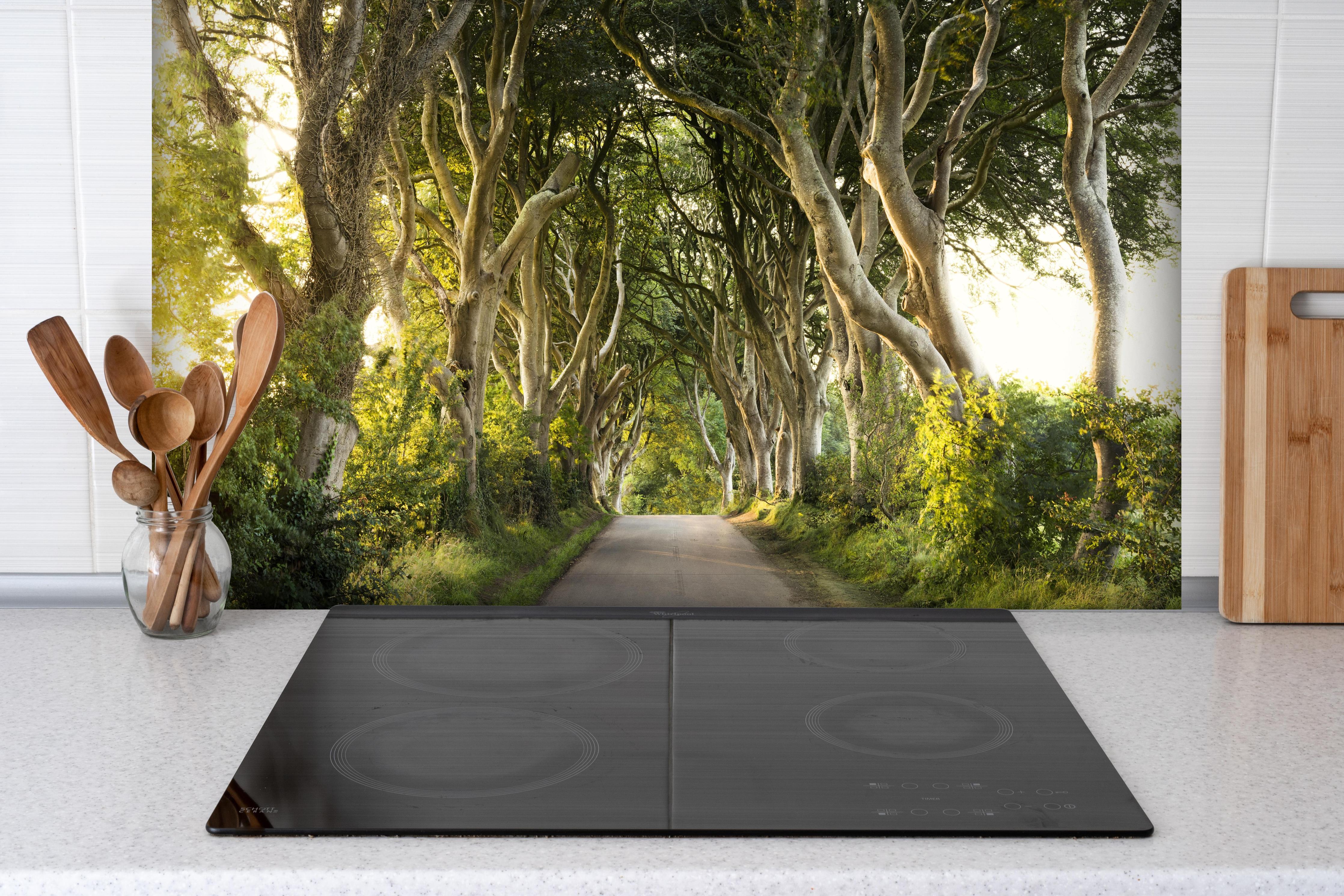 Spritzschutz - Goldener Weg im Wald hinter einem Cerankochfeld zwischen Holz-Kochutensilien