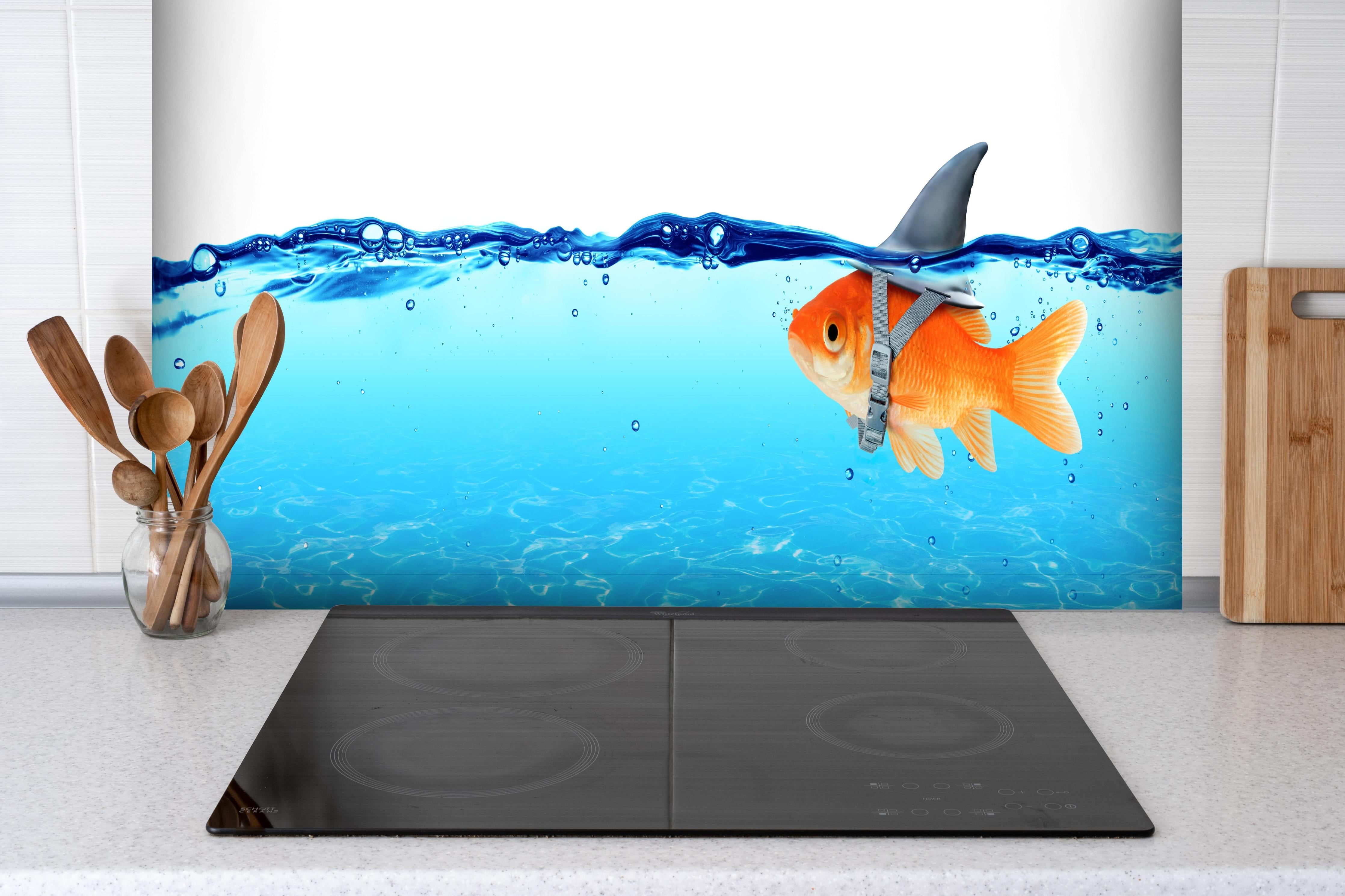 Spritzschutz - Goldfisch als Hai hinter einem Cerankochfeld zwischen Holz-Kochutensilien