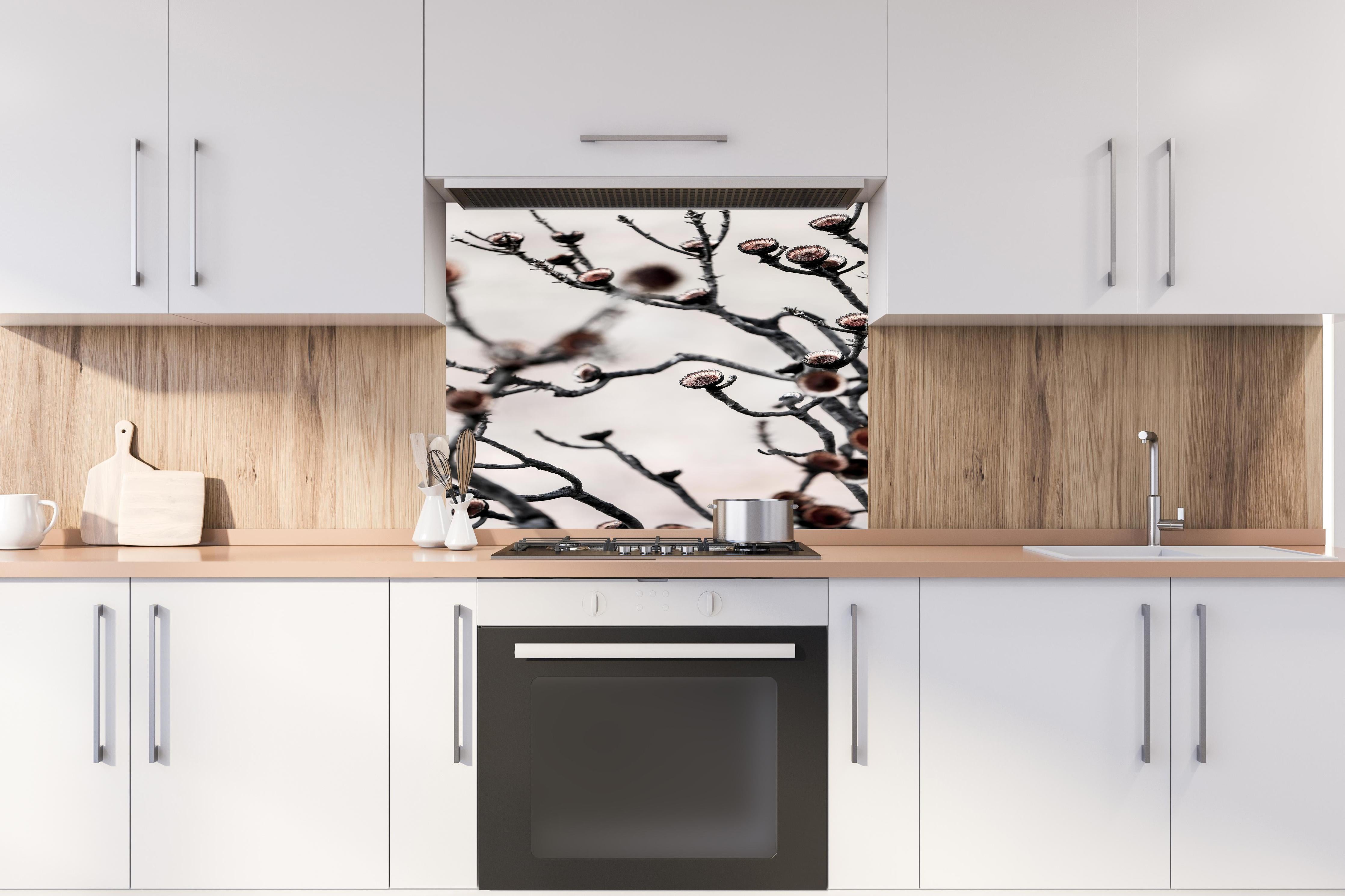 Spritzschutz - Grau-weiße Äste in High-Key Beleuchtung hinter einem Cerankochfeld zwischen Holz-Kochutensilien