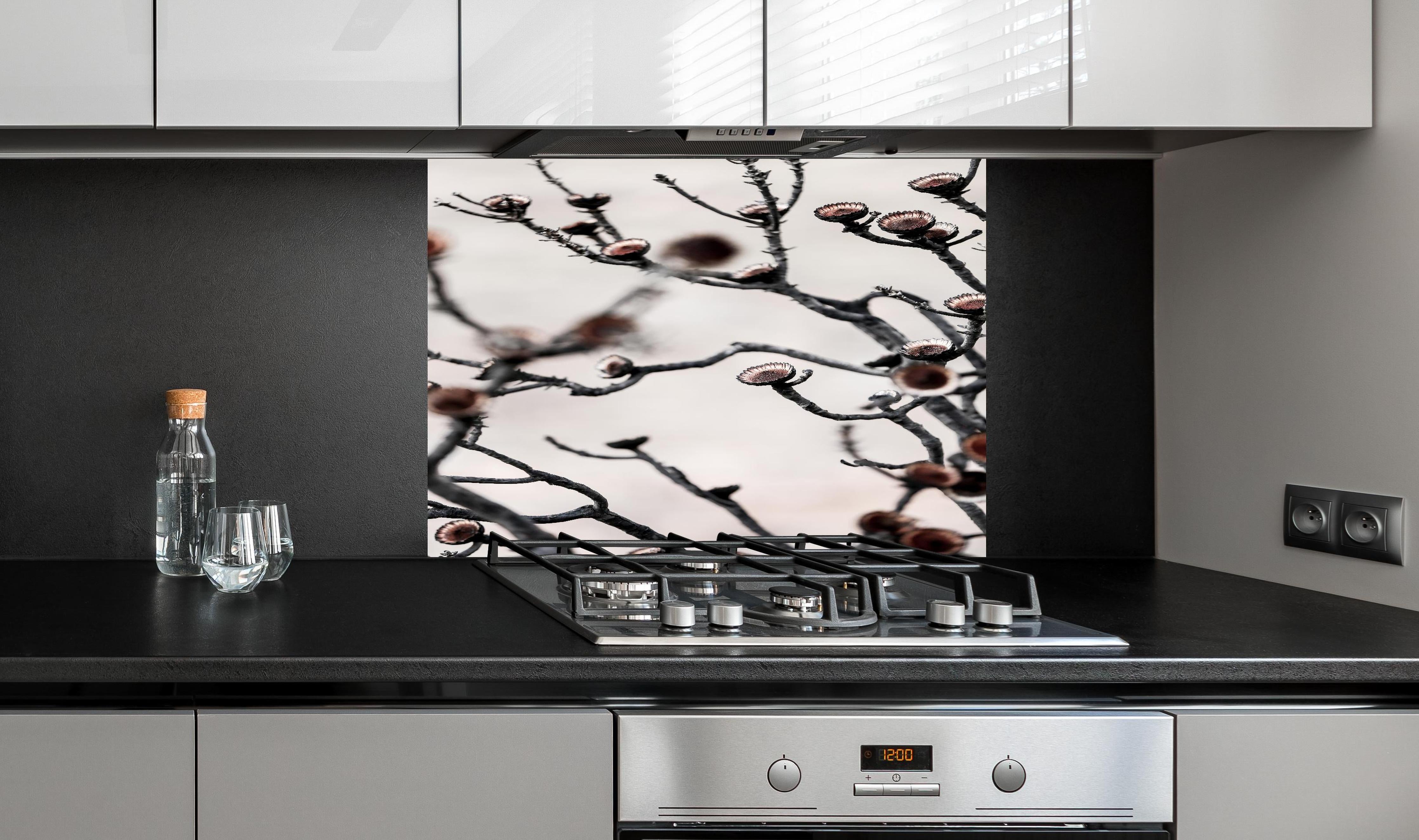 Spritzschutz - Grau-weiße Äste in High-Key Beleuchtung hinter einem Cerankochfeld zwischen Holz-Kochutensilien