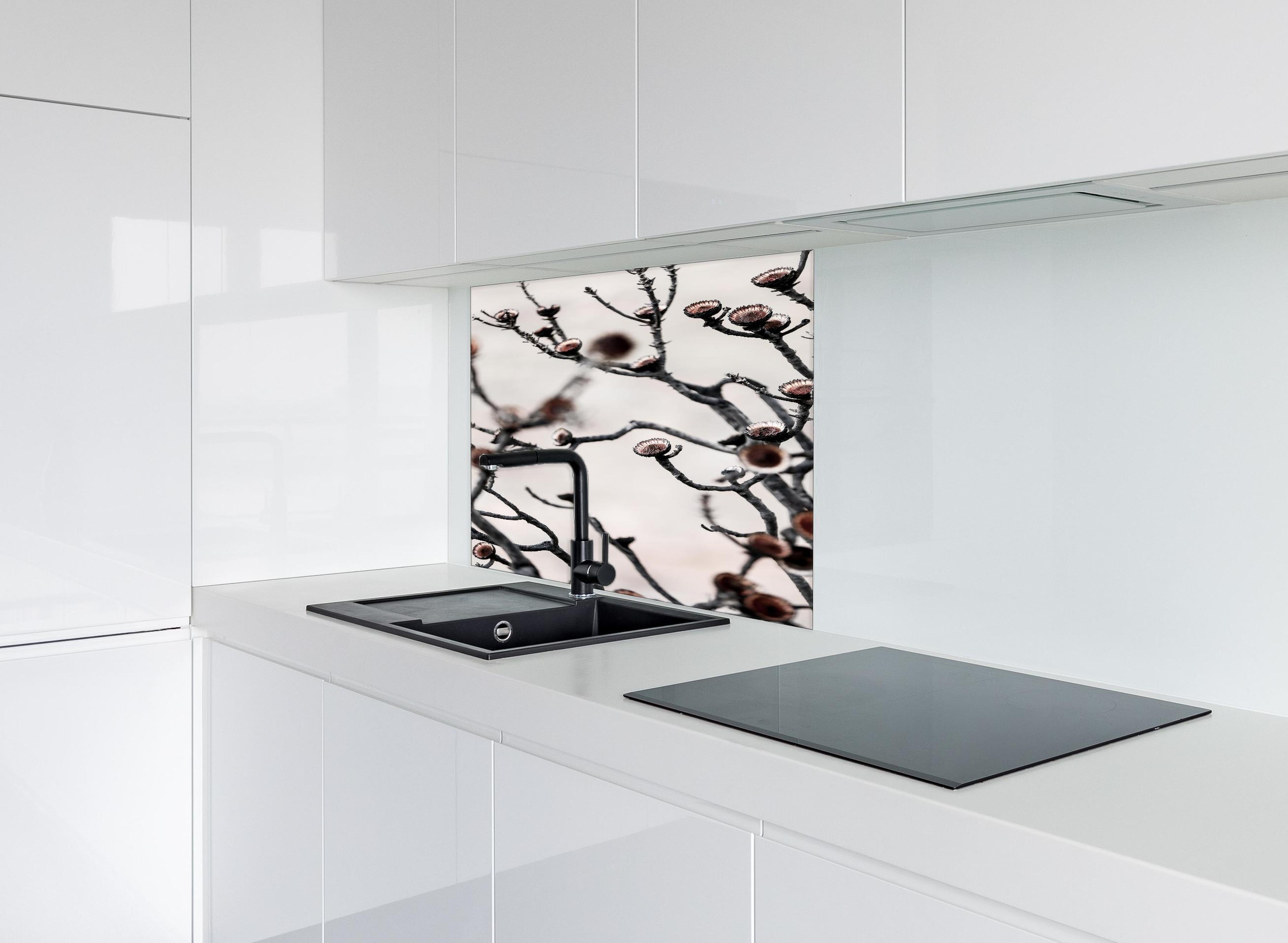 Spritzschutz - Grau-weiße Äste in High-Key Beleuchtung hinter einem Cerankochfeld zwischen Holz-Kochutensilien