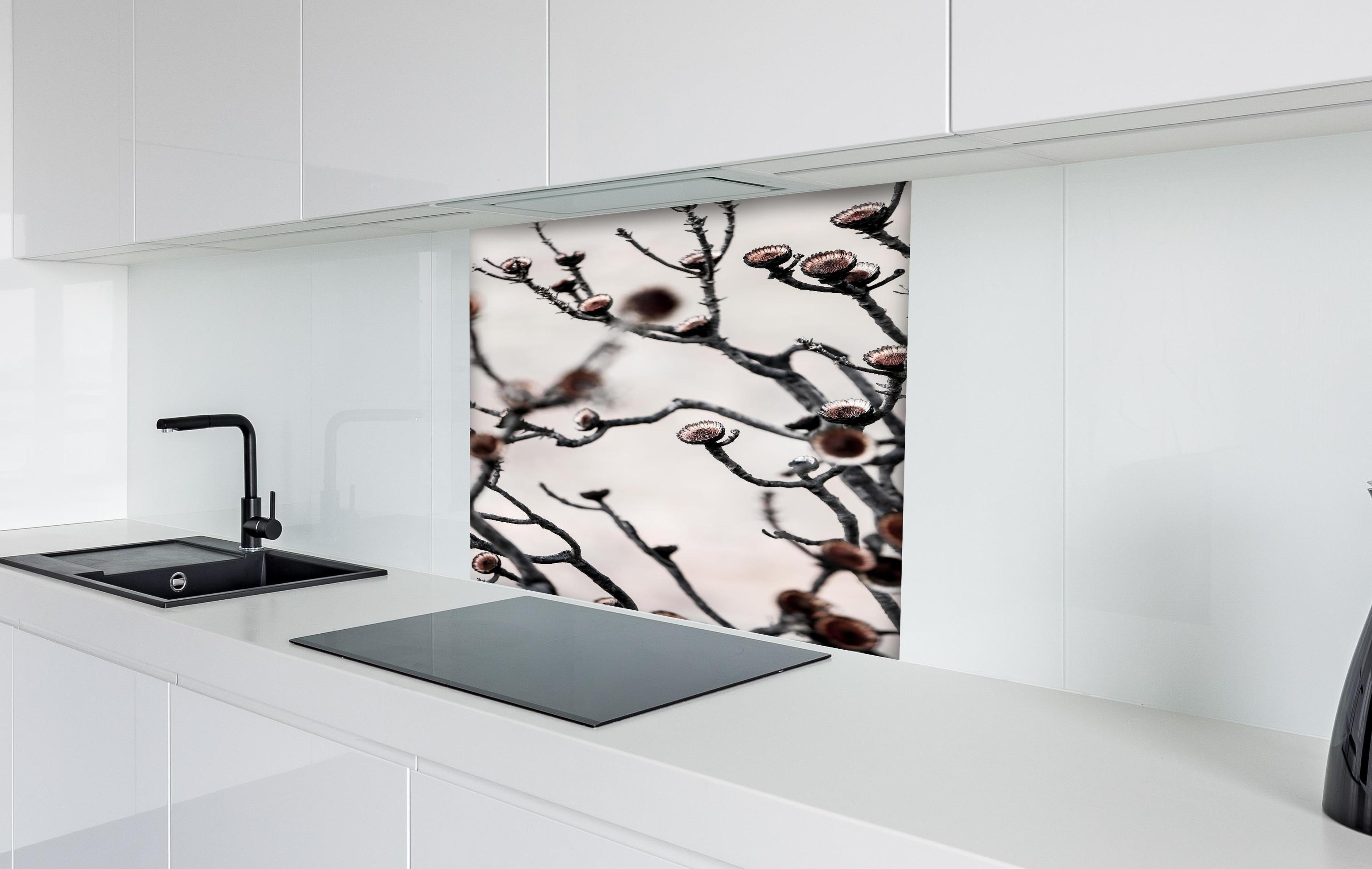 Spritzschutz - Grau-weiße Äste in High-Key Beleuchtung hinter einem Cerankochfeld zwischen Holz-Kochutensilien
