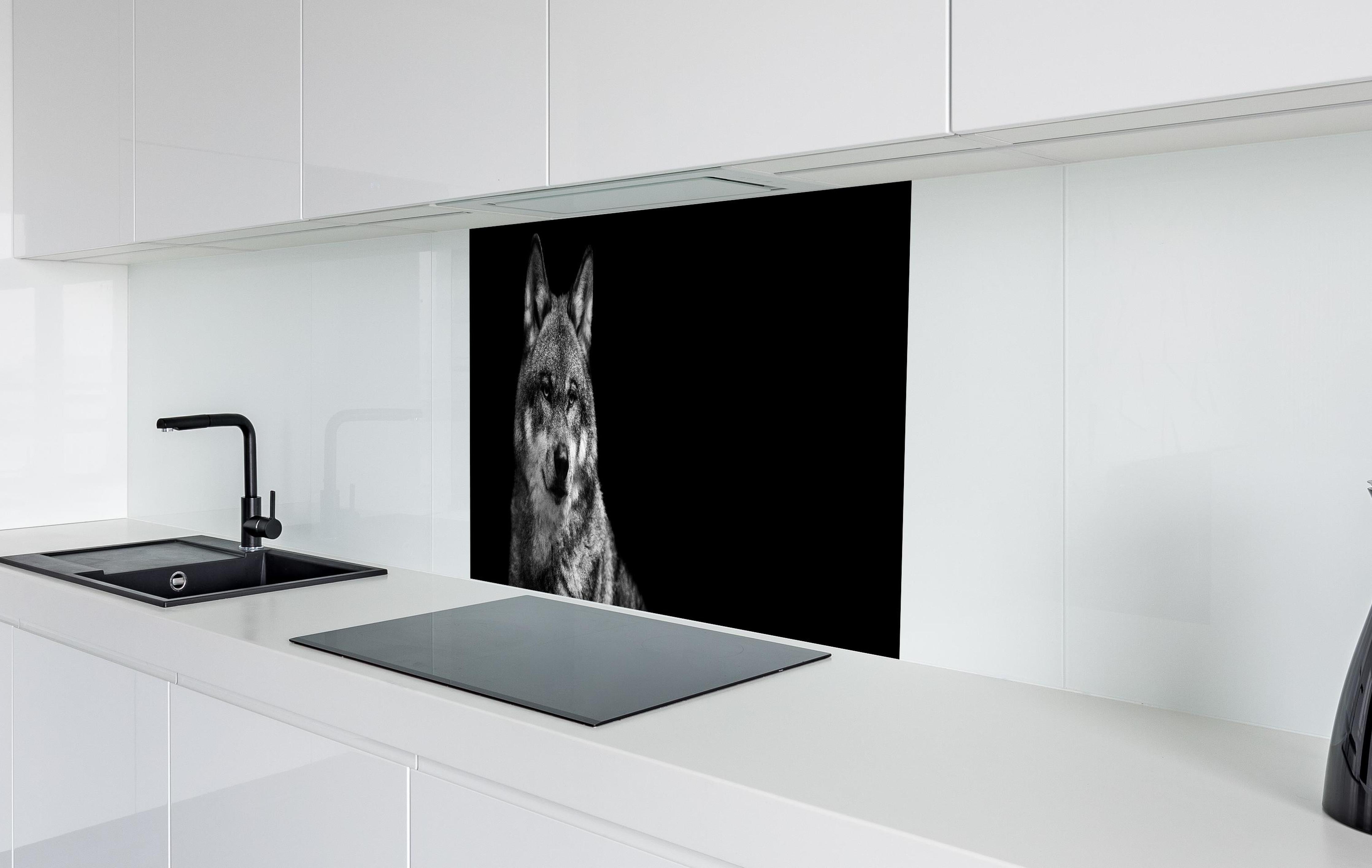 Spritzschutz - Grauer Wolf auf schwarzem Hintergrund hinter einem Cerankochfeld zwischen Holz-Kochutensilien