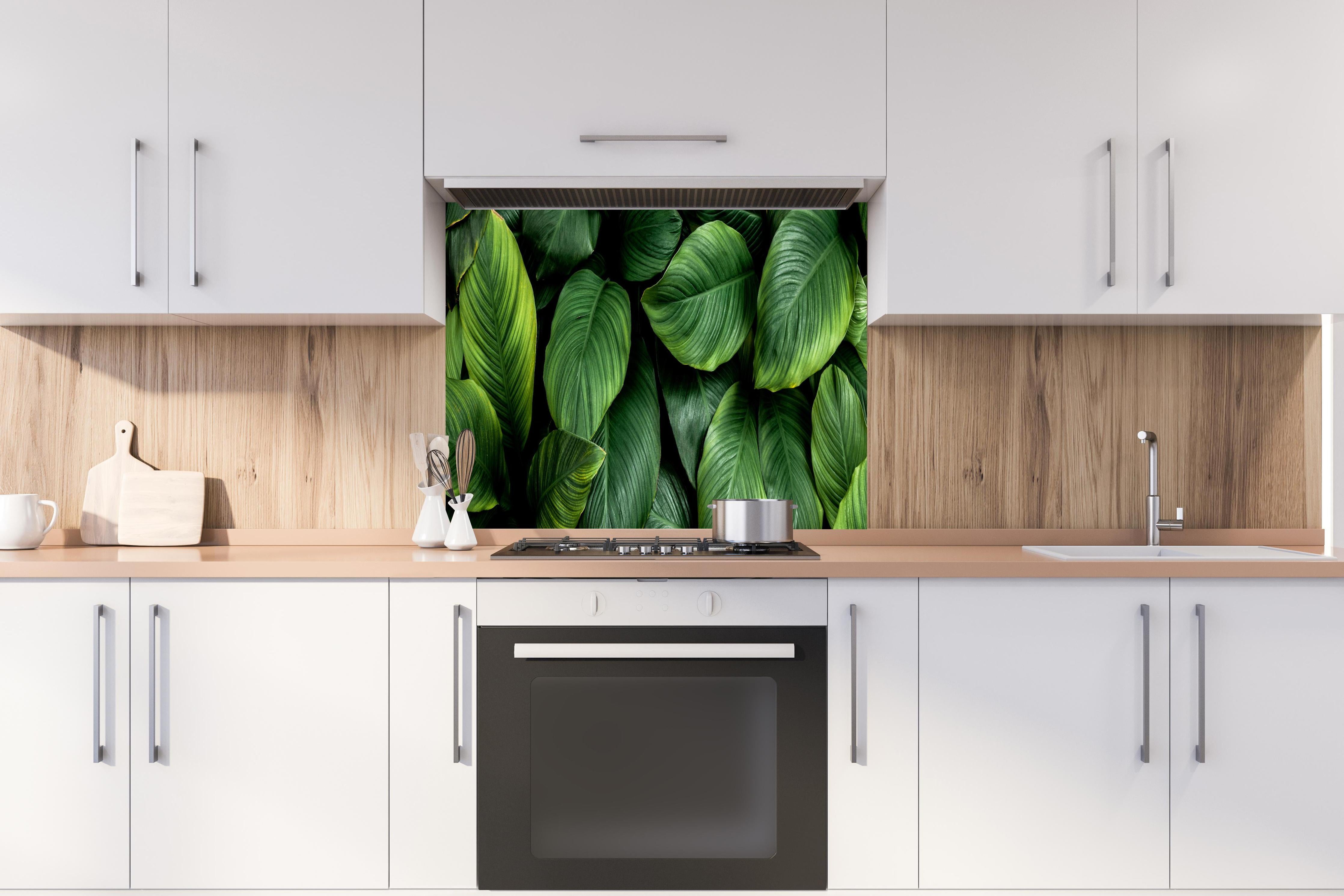 Spritzschutz - Große grüne Blätter hinter einem Cerankochfeld zwischen Holz-Kochutensilien
