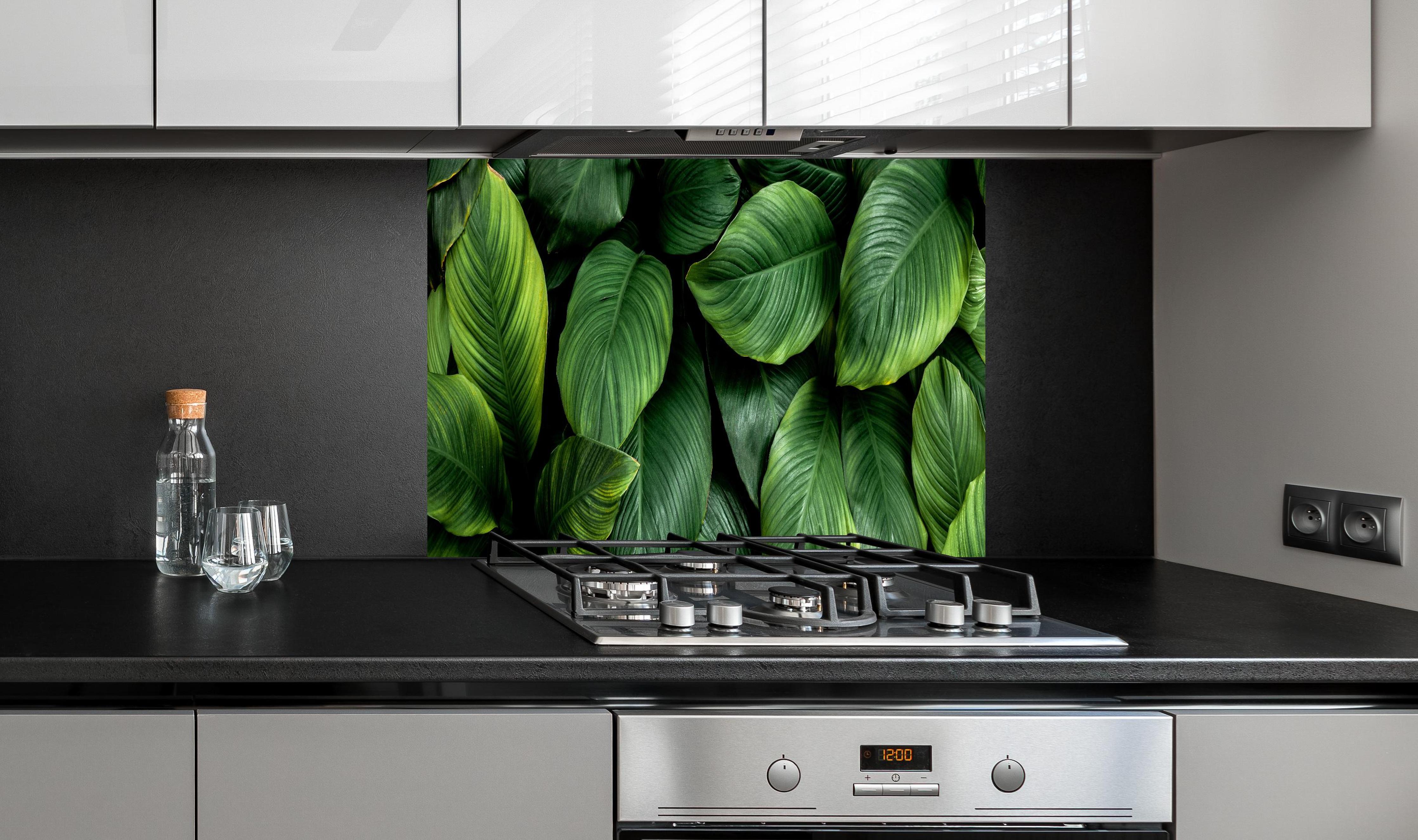 Spritzschutz - Große grüne Blätter hinter einem Cerankochfeld zwischen Holz-Kochutensilien