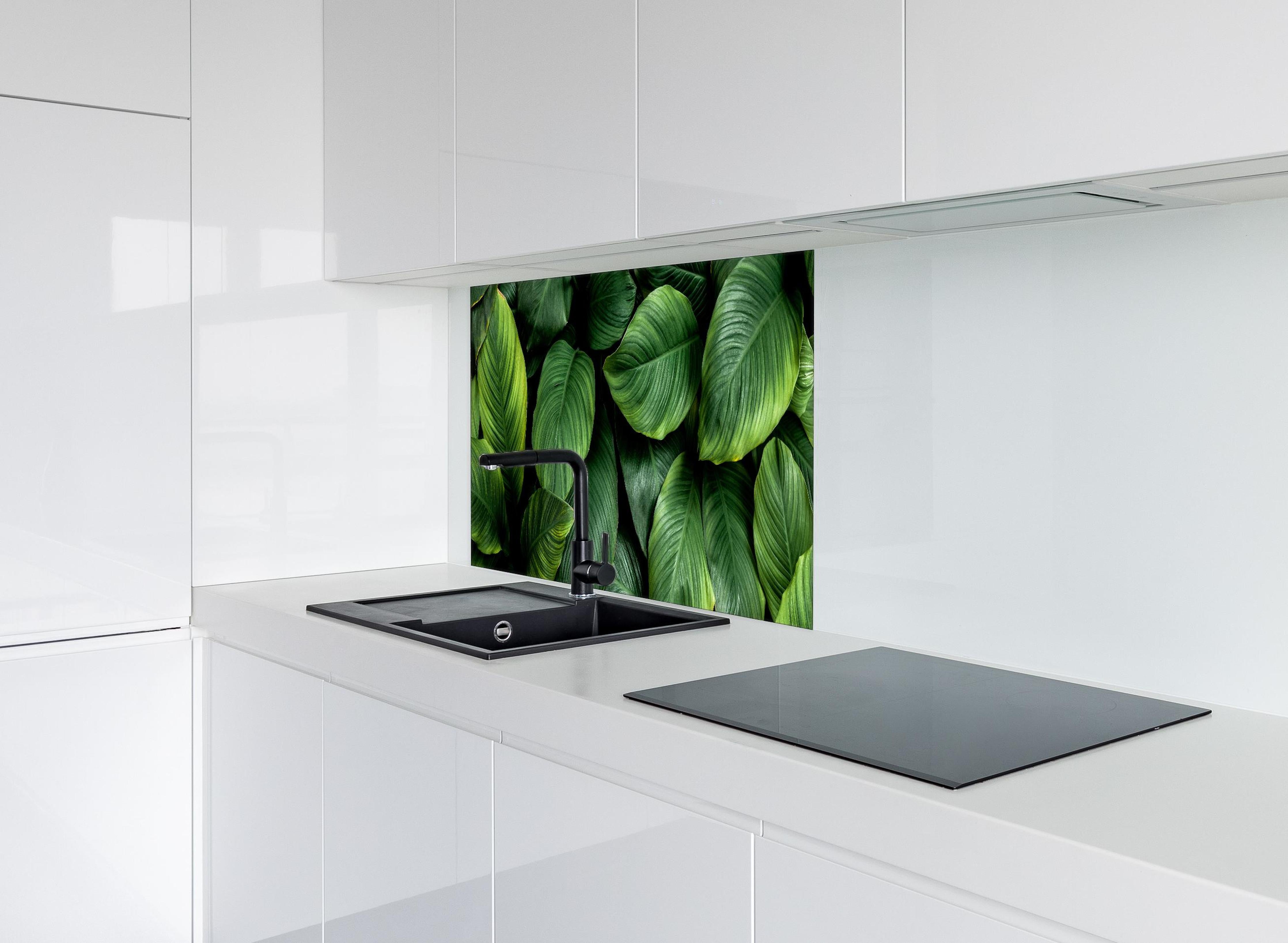 Spritzschutz - Große grüne Blätter hinter einem Cerankochfeld zwischen Holz-Kochutensilien