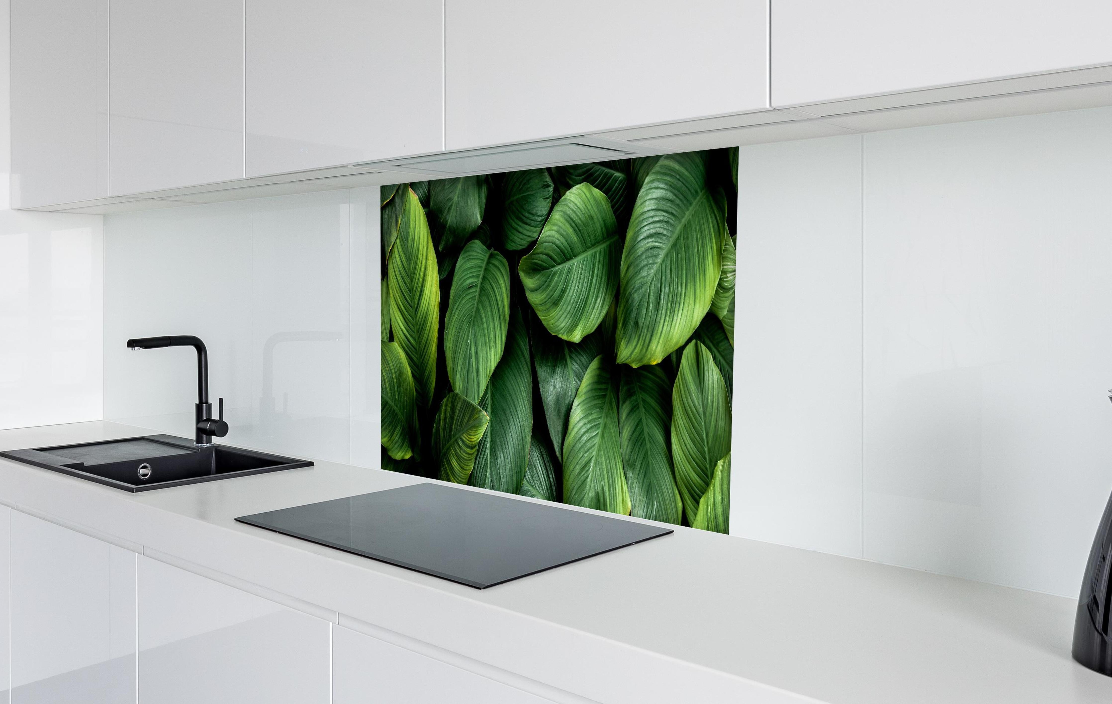 Spritzschutz - Große grüne Blätter hinter einem Cerankochfeld zwischen Holz-Kochutensilien