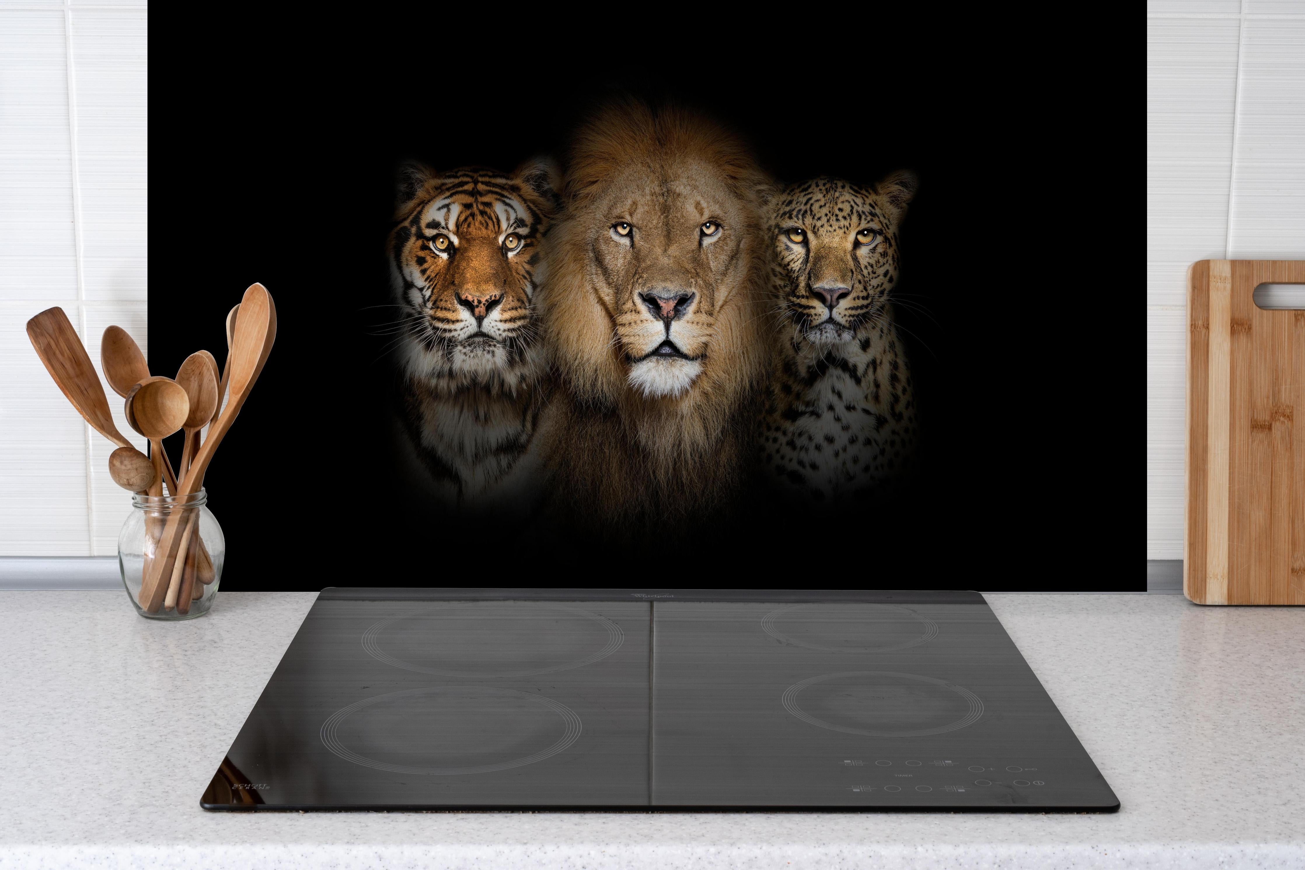 Spritzschutz - Großkatzen hinter einem Cerankochfeld zwischen Holz-Kochutensilien