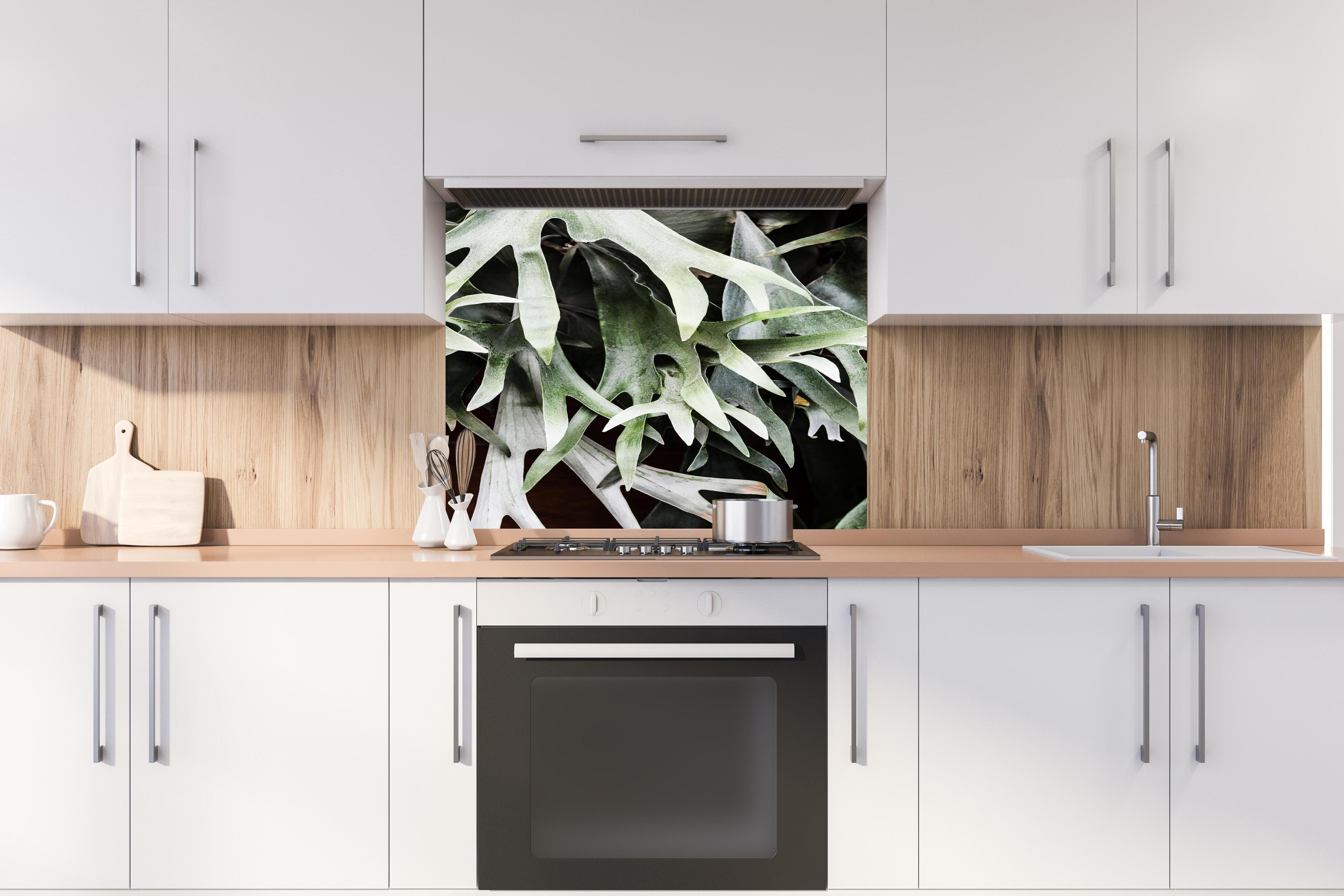 Spritzschutz - Grün-Graues Staghorn Farngewächs Makroaufnahme hinter einem Cerankochfeld zwischen Holz-Kochutensilien