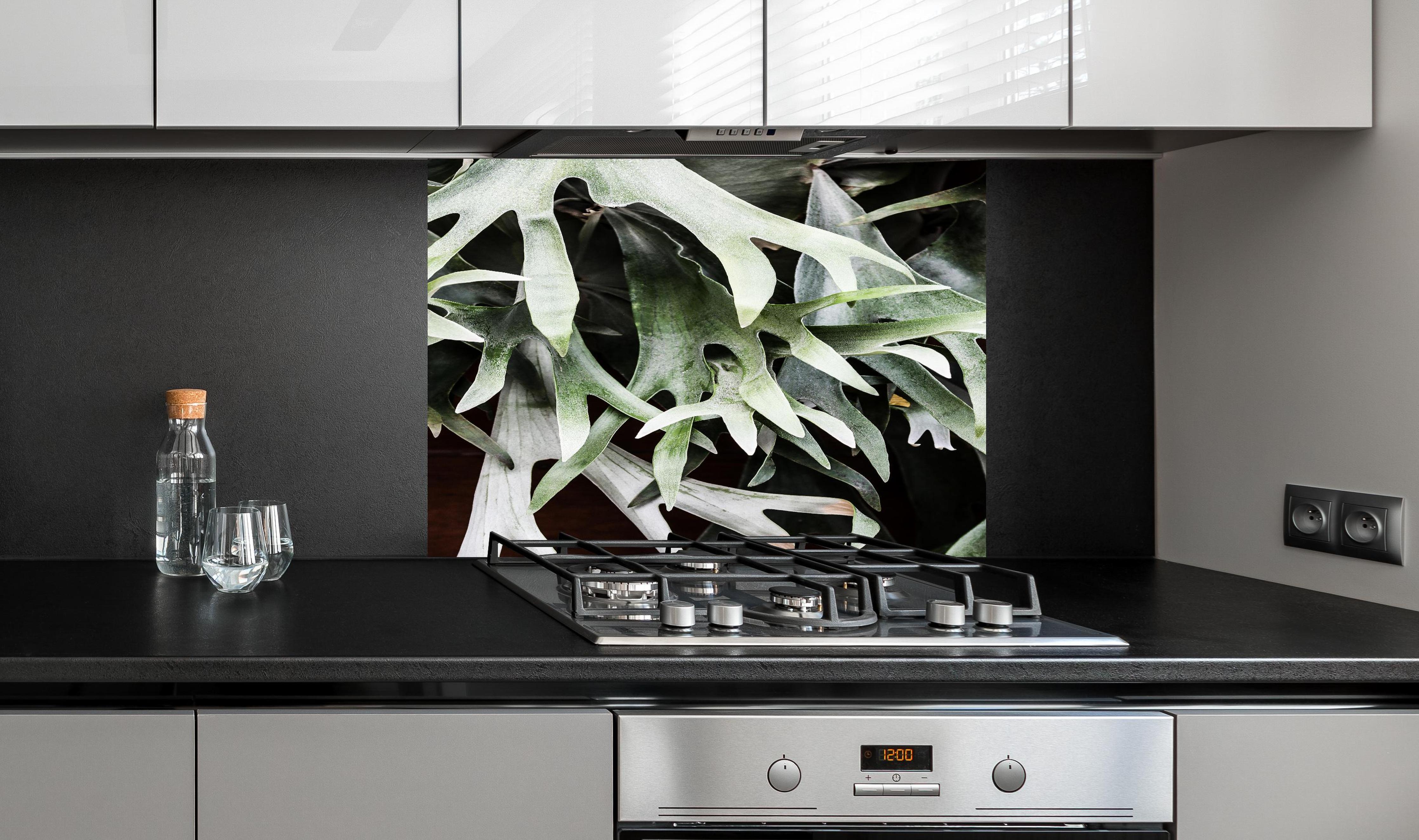 Spritzschutz - Grün-Graues Staghorn Farngewächs Makroaufnahme hinter einem Cerankochfeld zwischen Holz-Kochutensilien