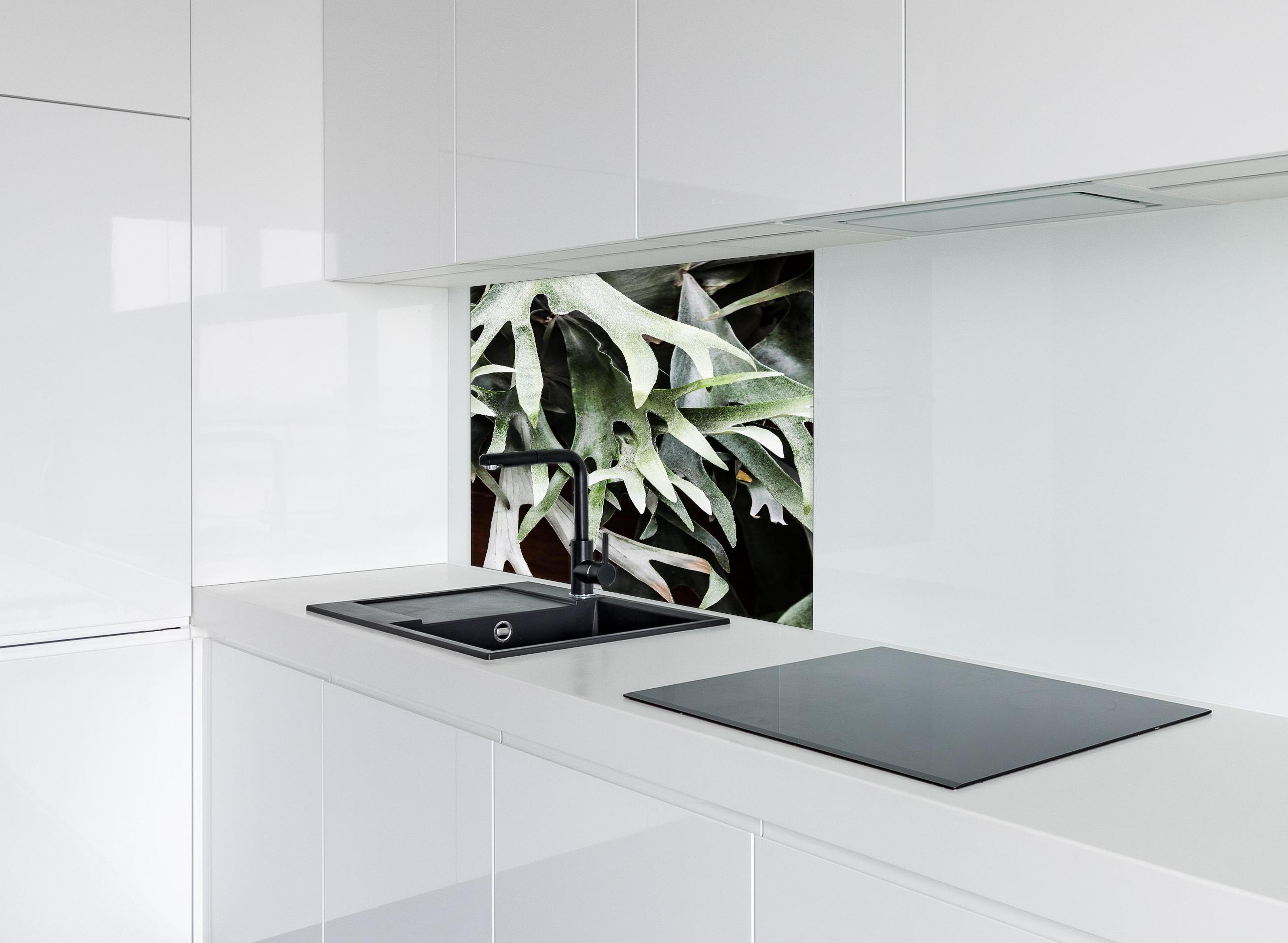 Spritzschutz - Grün-Graues Staghorn Farngewächs Makroaufnahme hinter einem Cerankochfeld zwischen Holz-Kochutensilien