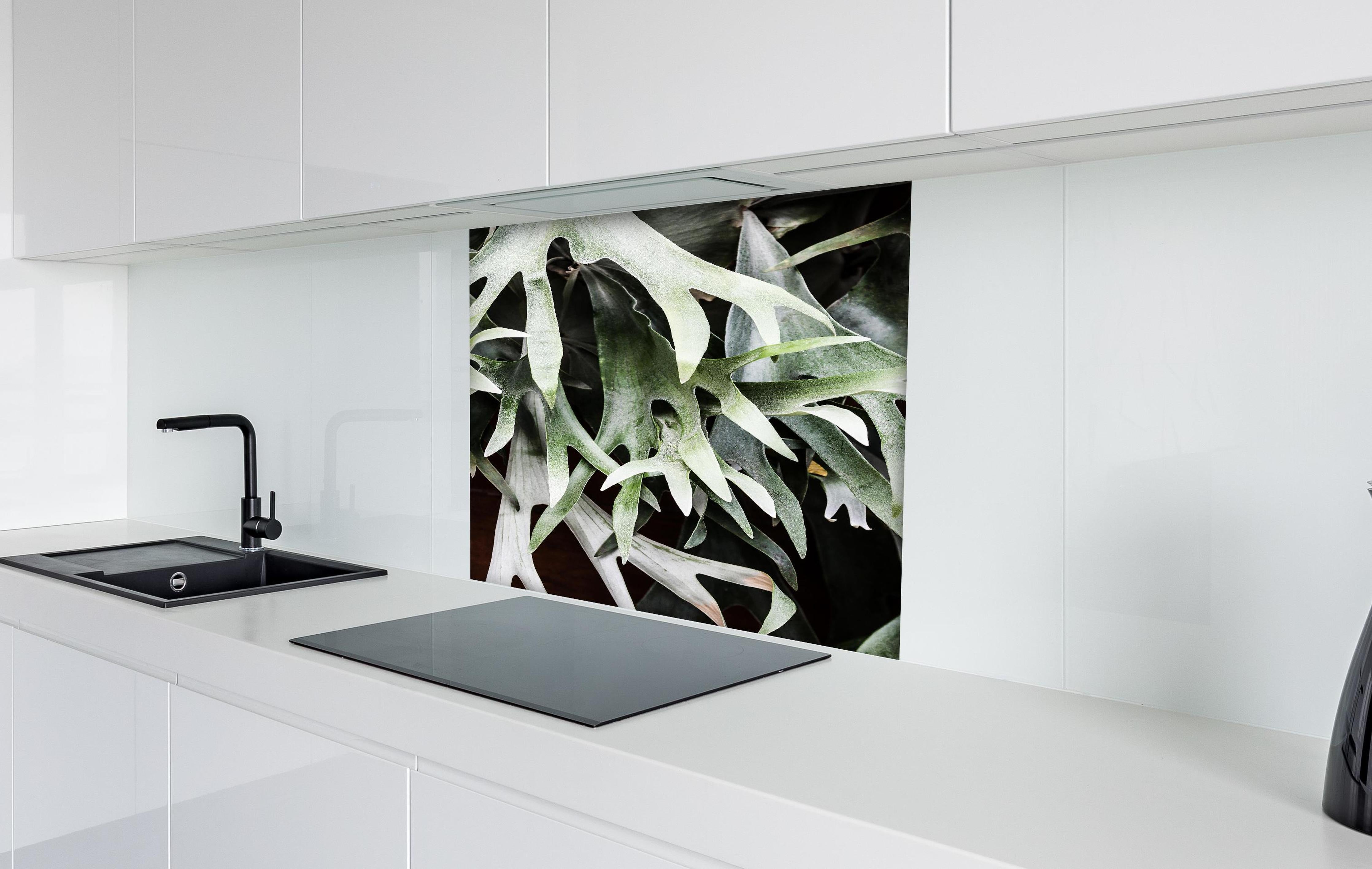 Spritzschutz - Grün-Graues Staghorn Farngewächs Makroaufnahme hinter einem Cerankochfeld zwischen Holz-Kochutensilien