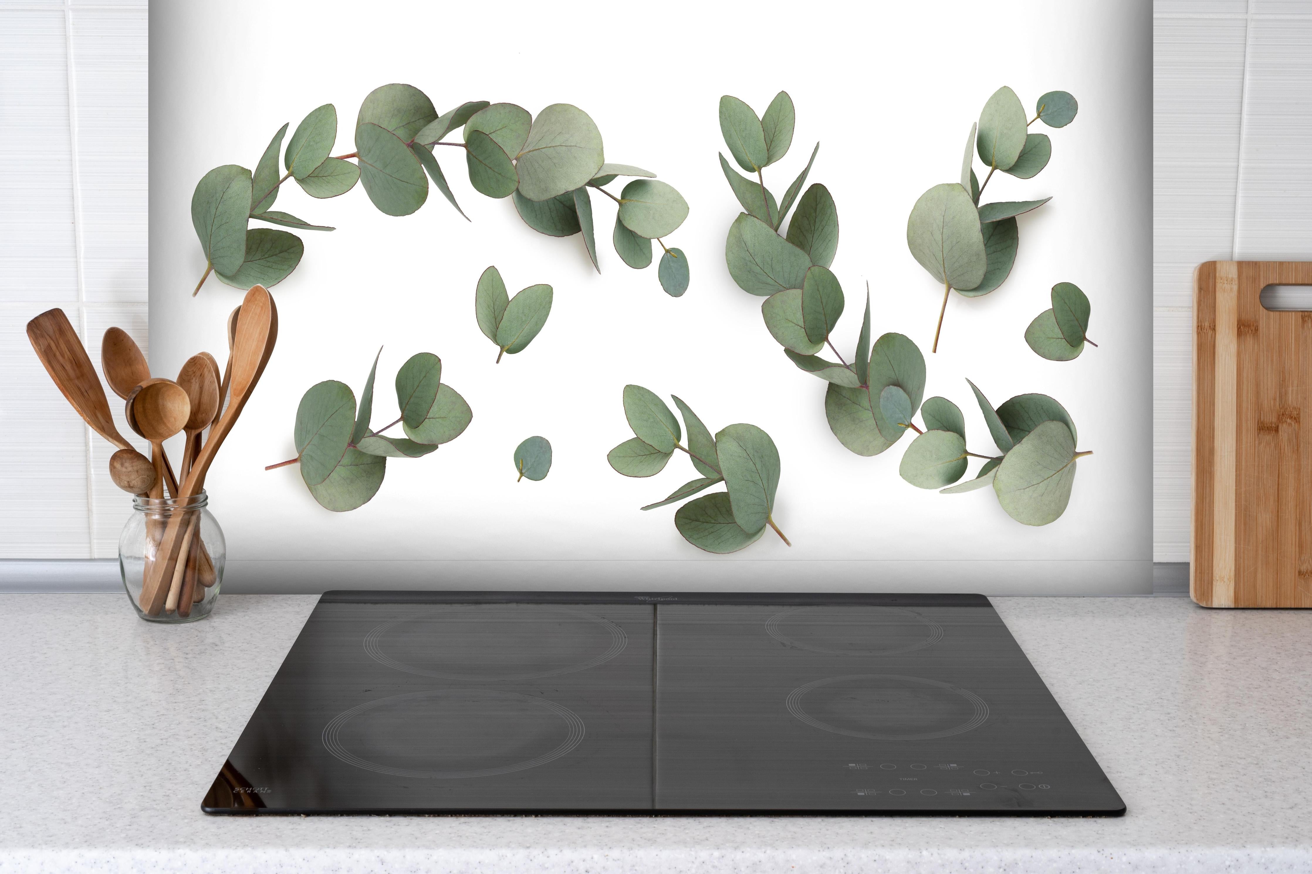 Spritzschutz - Grüne Eukalyptus Blätter hinter einem Cerankochfeld zwischen Holz-Kochutensilien