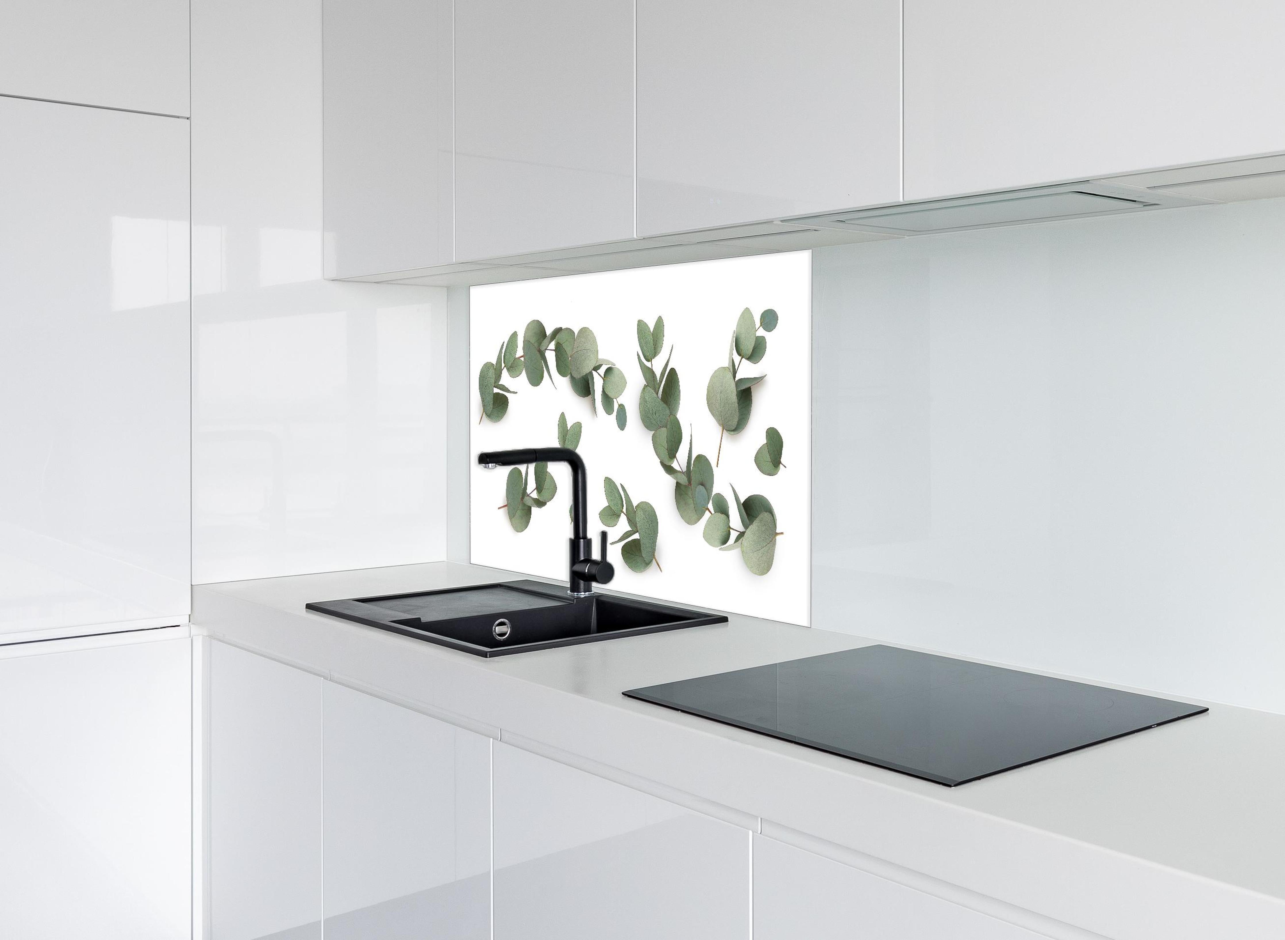 Spritzschutz - Grüne Eukalyptus Blätter hinter einem Cerankochfeld zwischen Holz-Kochutensilien