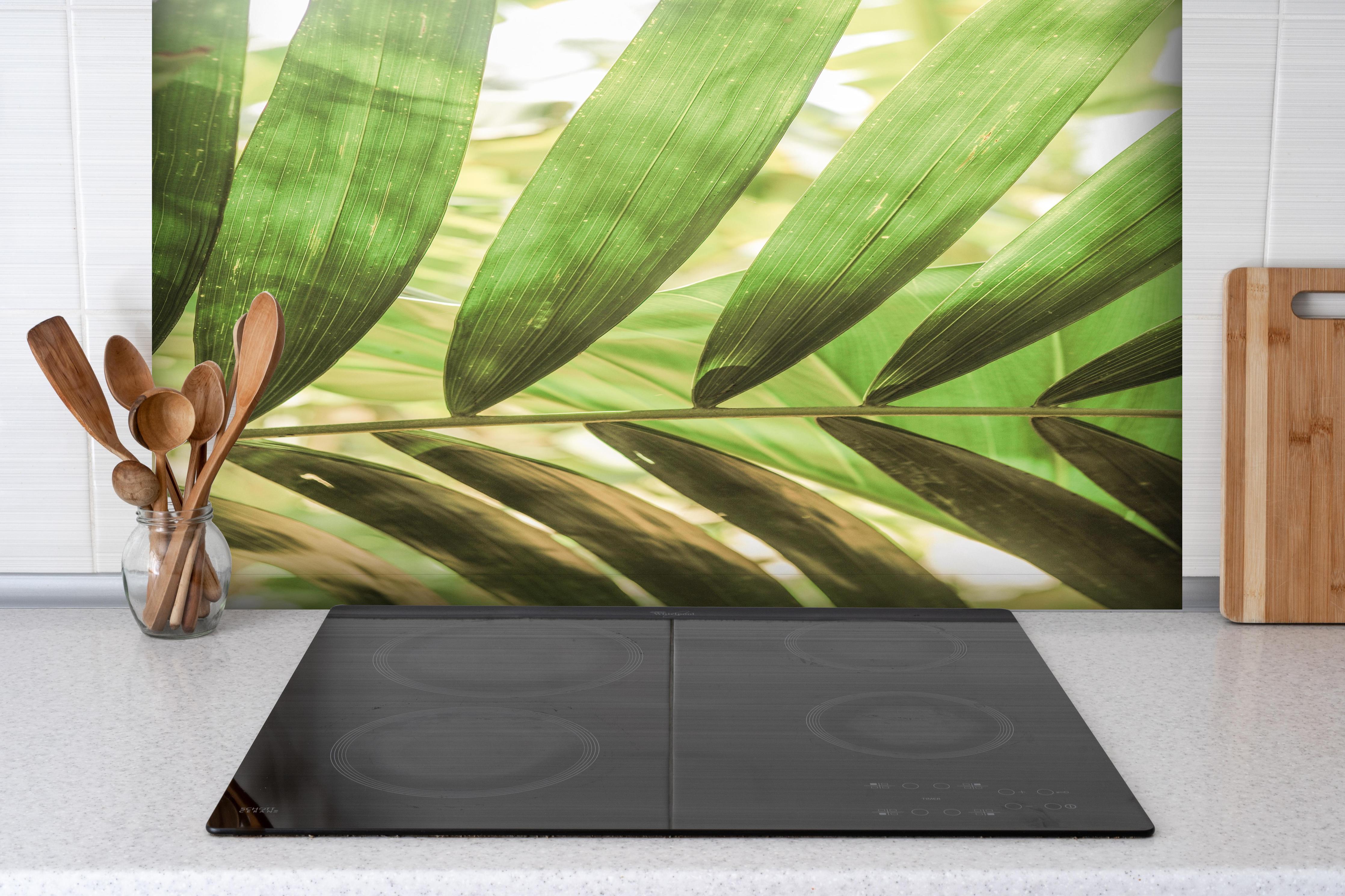 Spritzschutz - Grüne Palmenblätter in tropischem Licht hinter einem Cerankochfeld zwischen Holz-Kochutensilien