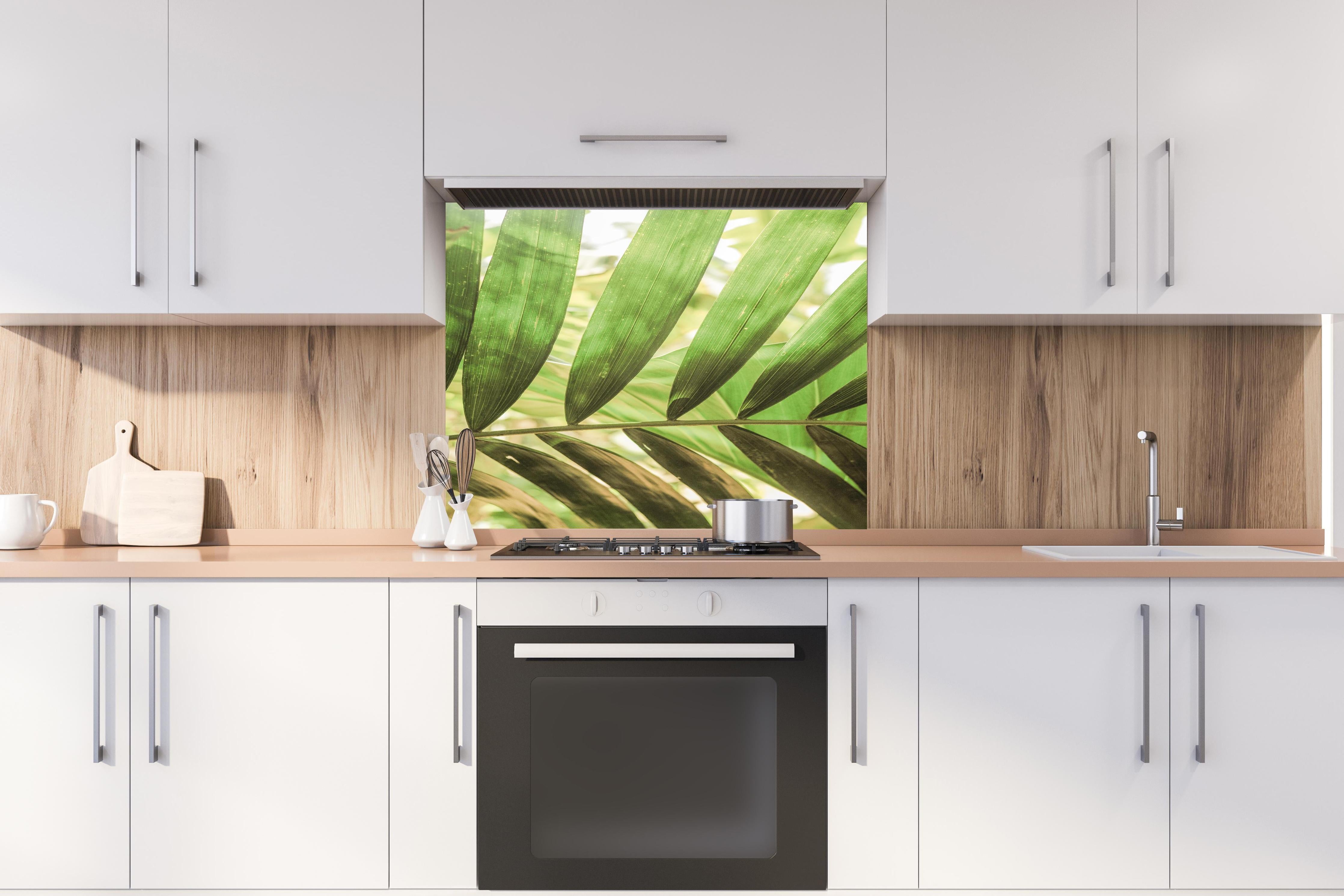 Spritzschutz - Grüne Palmenblätter in tropischem Licht hinter einem Cerankochfeld zwischen Holz-Kochutensilien