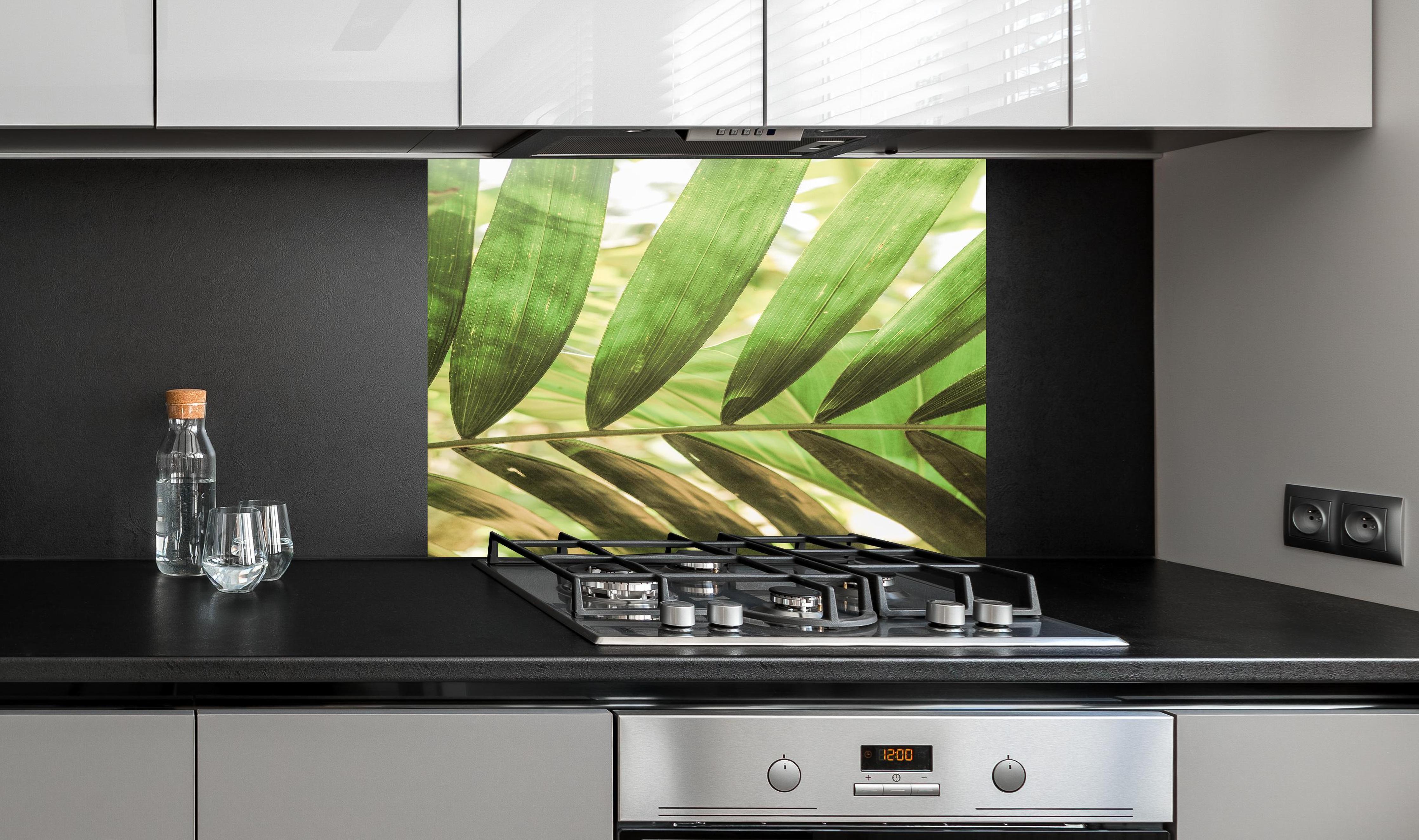 Spritzschutz - Grüne Palmenblätter in tropischem Licht hinter einem Cerankochfeld zwischen Holz-Kochutensilien