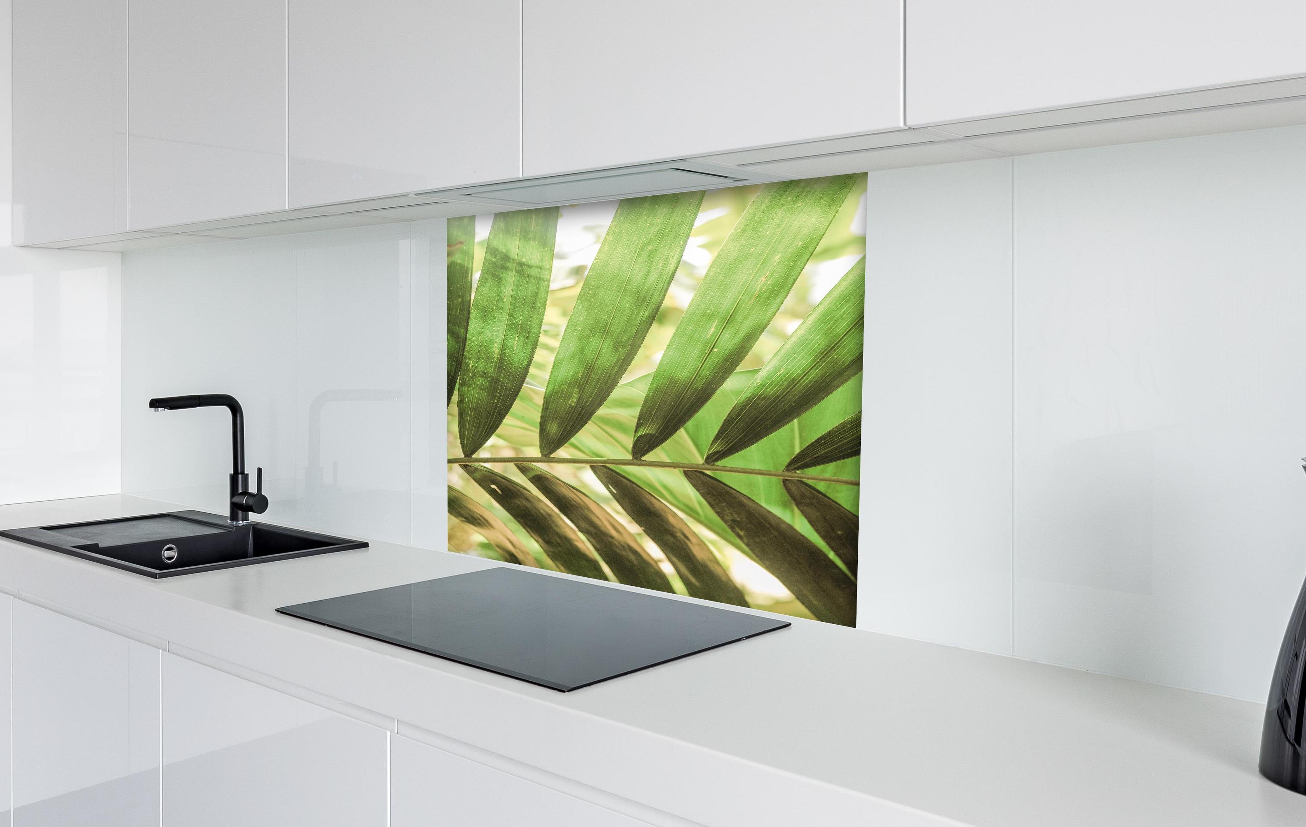 Spritzschutz - Grüne Palmenblätter in tropischem Licht hinter einem Cerankochfeld zwischen Holz-Kochutensilien
