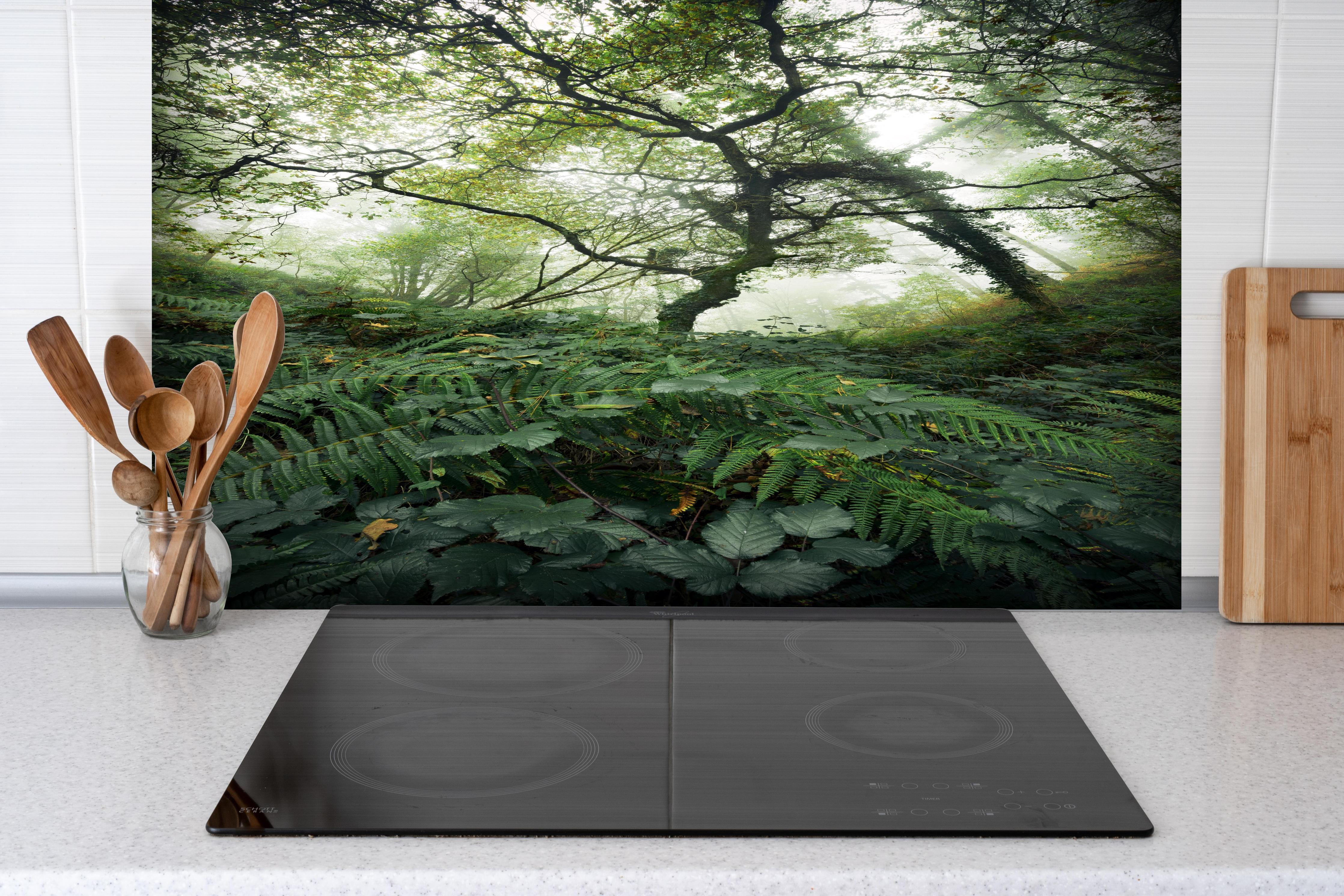 Spritzschutz - Grüner Nebelwald mit Herbstlaub hinter einem Cerankochfeld zwischen Holz-Kochutensilien