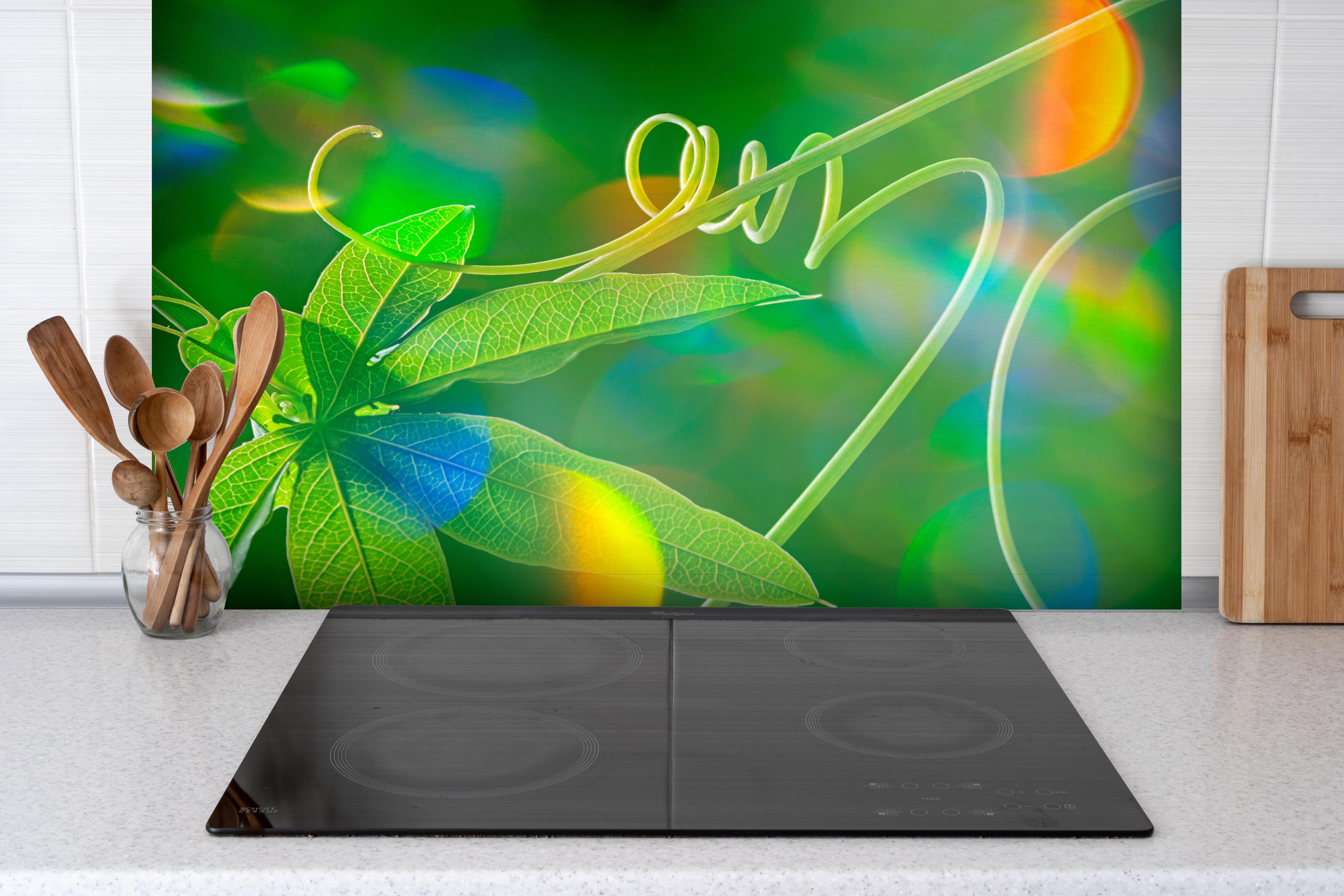 Spritzschutz - Grünes Blatt vor dunklem Hintergrund hinter einem Cerankochfeld zwischen Holz-Kochutensilien