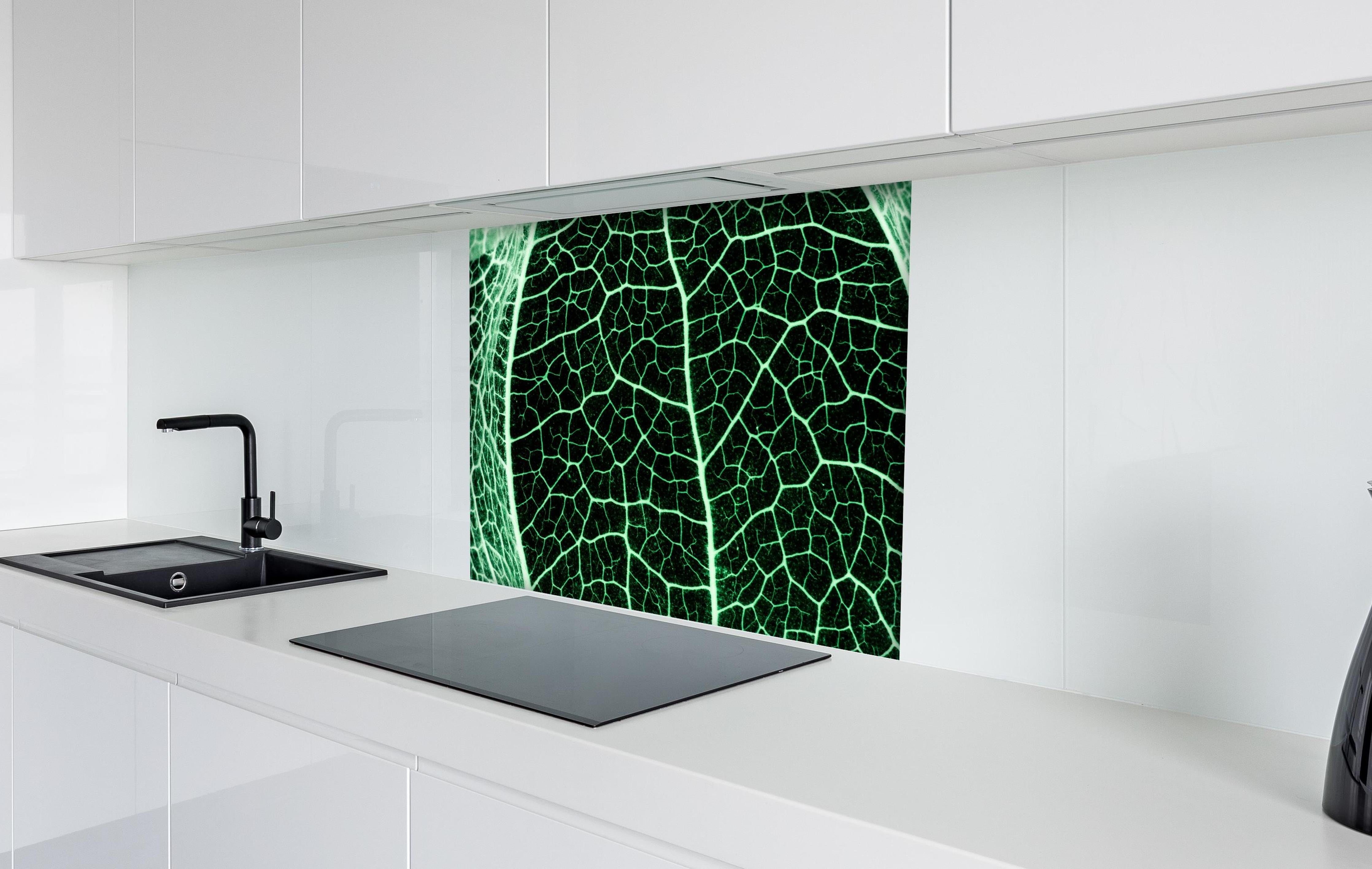 Spritzschutz - Grünliche Blatttextur im Detail hinter einem Cerankochfeld zwischen Holz-Kochutensilien