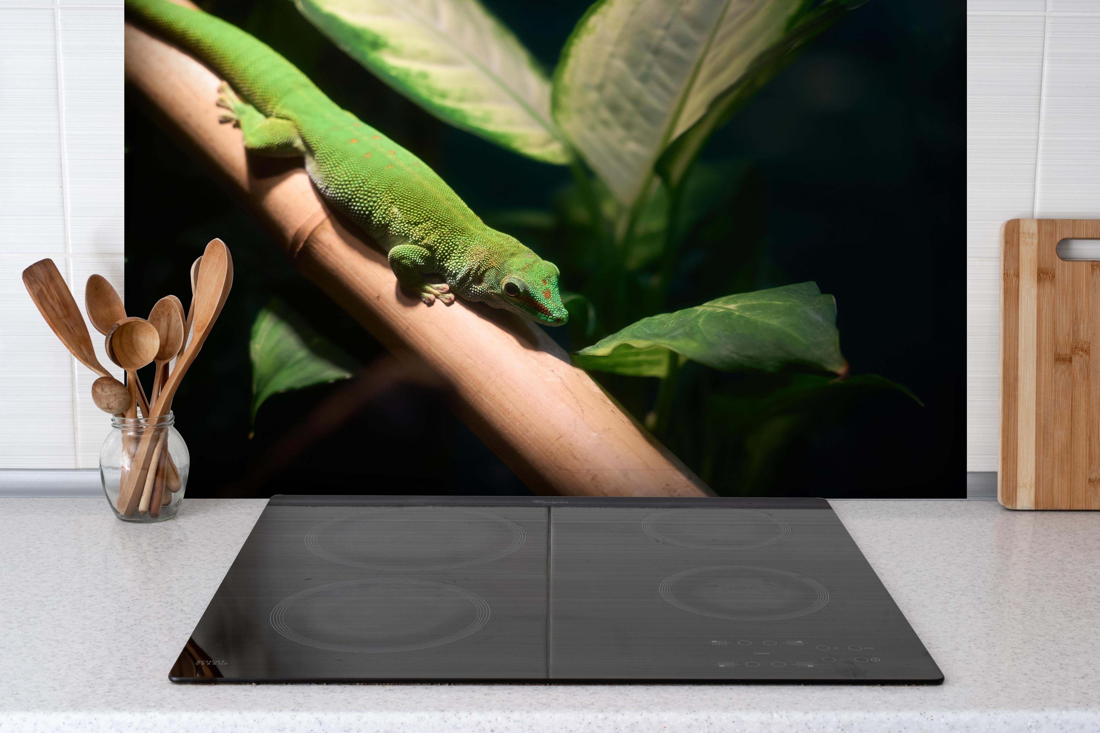 Spritzschutz - Grünliche Eidechse hinter einem Cerankochfeld zwischen Holz-Kochutensilien