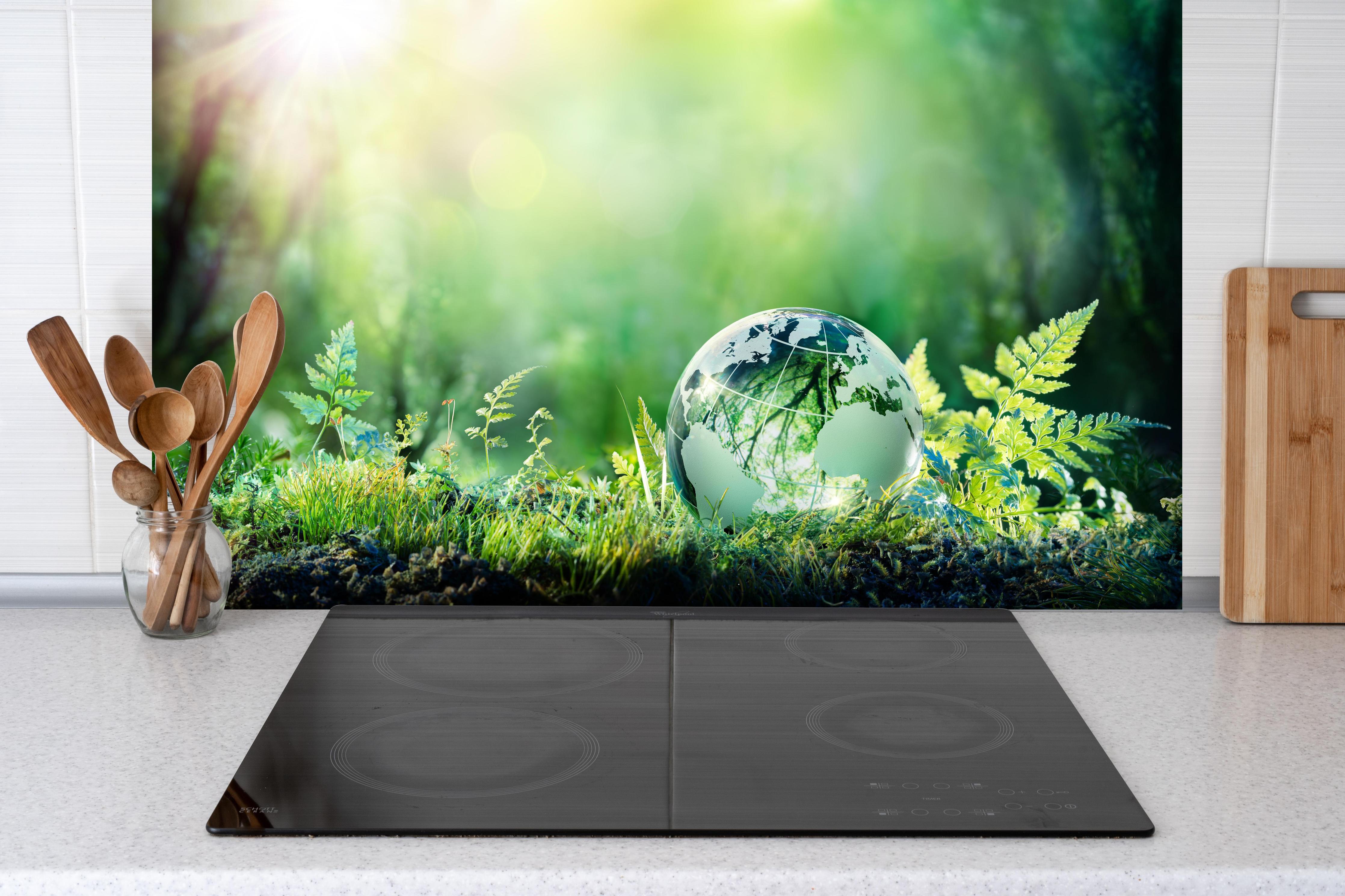 Spritzschutz - Grünlicher Globus im Wald hinter einem Cerankochfeld zwischen Holz-Kochutensilien