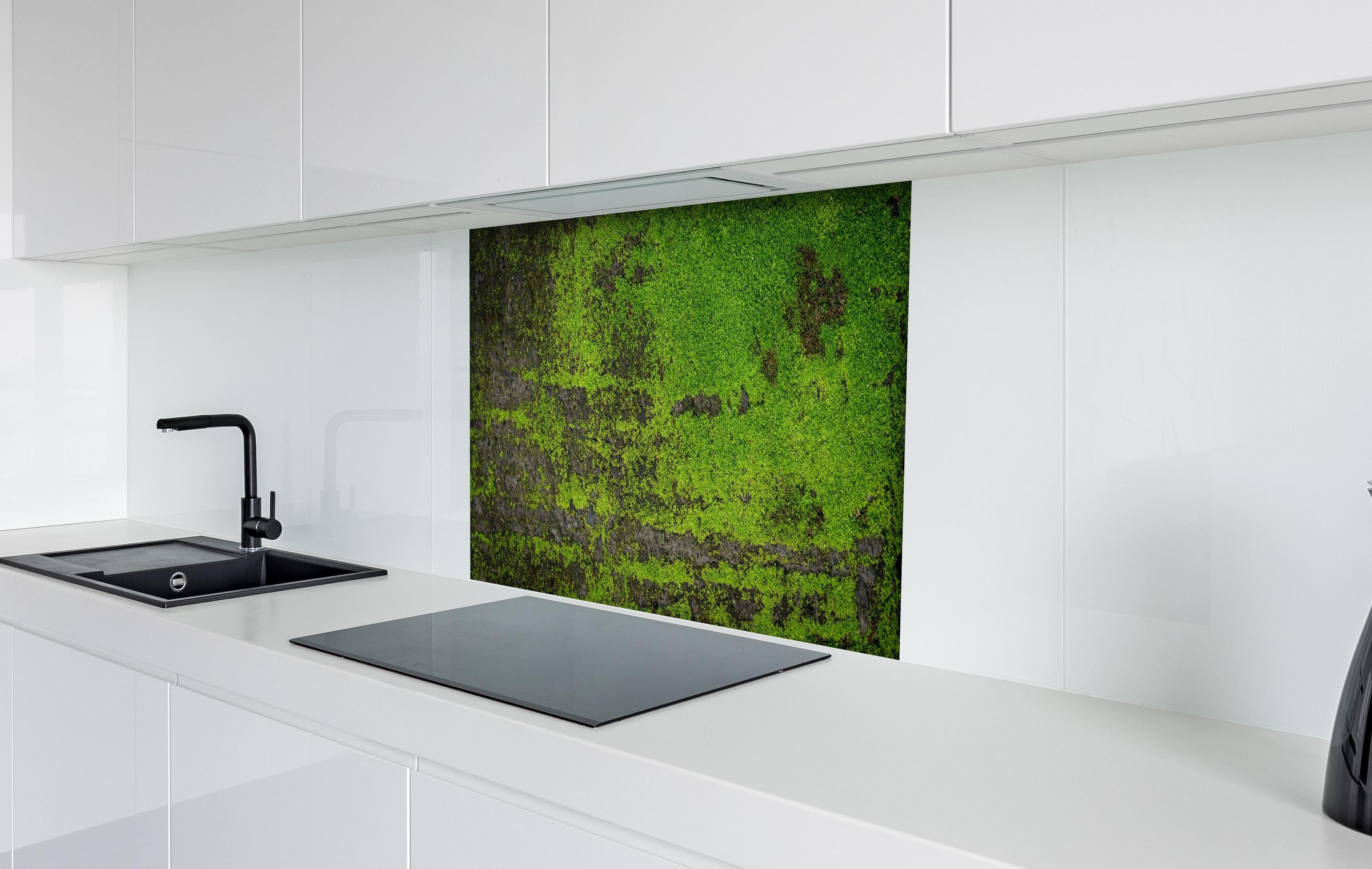 Spritzschutz - Grunge Moos Hintergrund lange Bannerformat hinter einem Cerankochfeld zwischen Holz-Kochutensilien