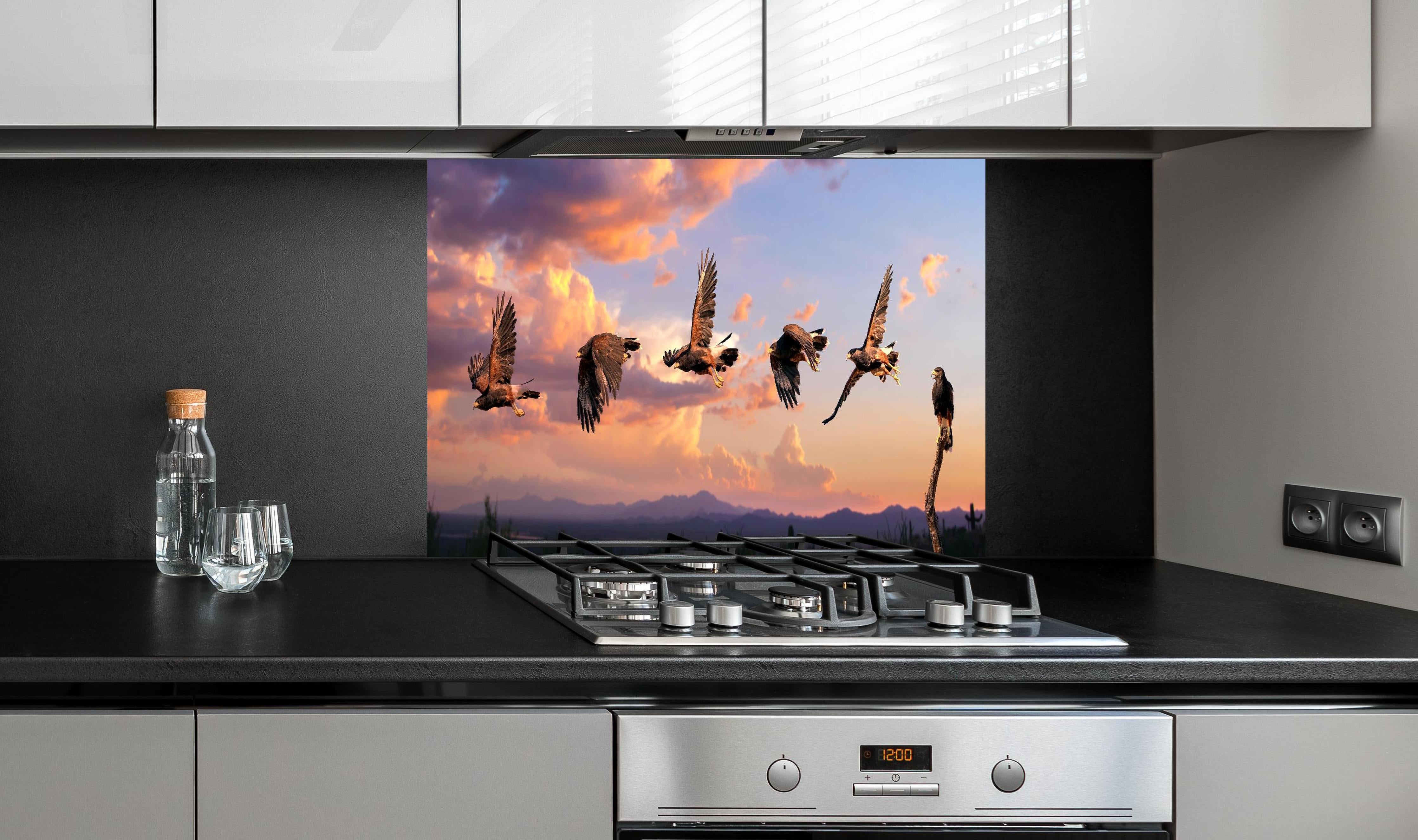 Spritzschutz - Harris Hawk Flug gegen blauen Himmel hinter einem Cerankochfeld zwischen Holz-Kochutensilien