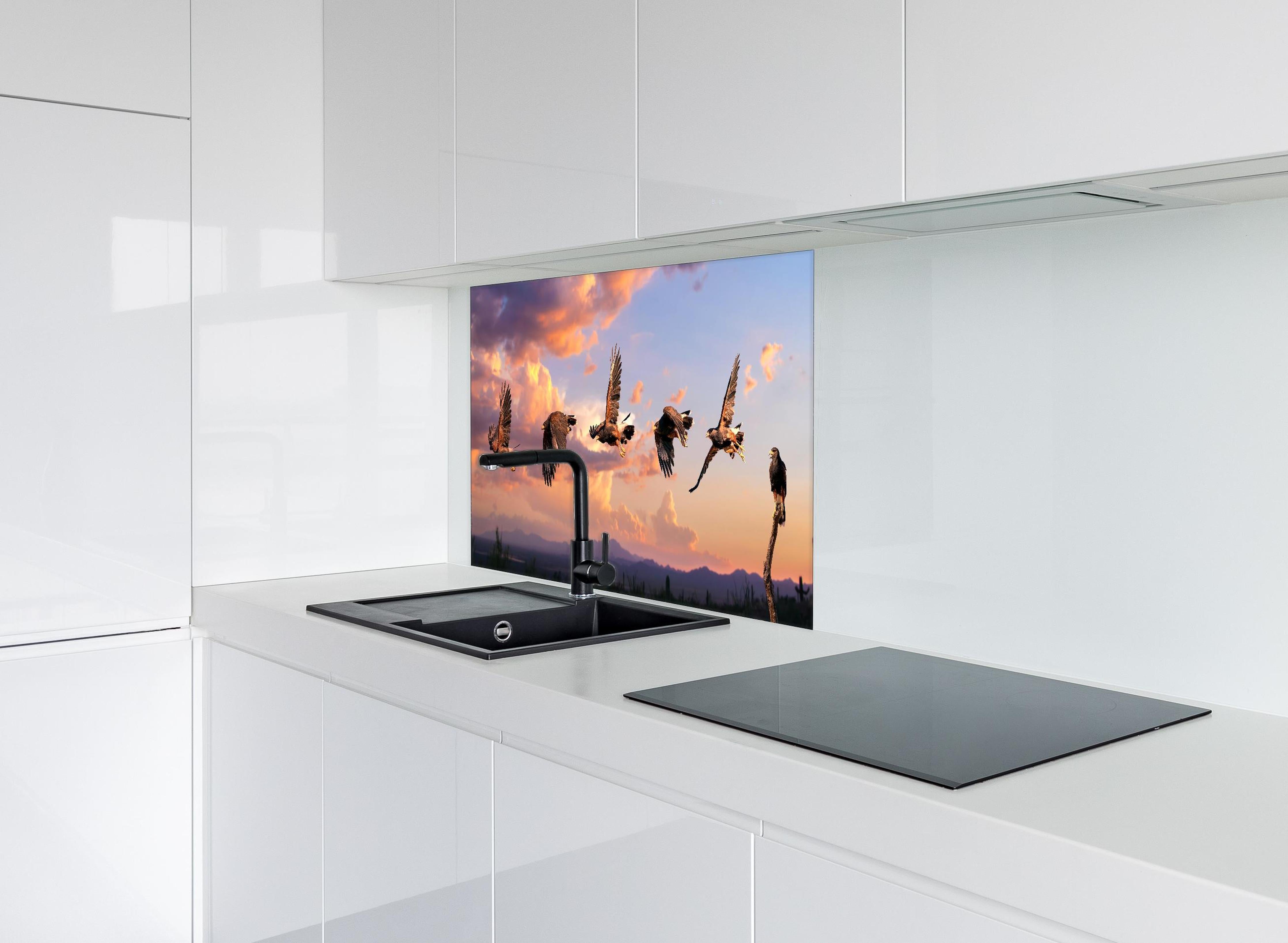 Spritzschutz - Harris Hawk Flug gegen blauen Himmel hinter einem Cerankochfeld zwischen Holz-Kochutensilien