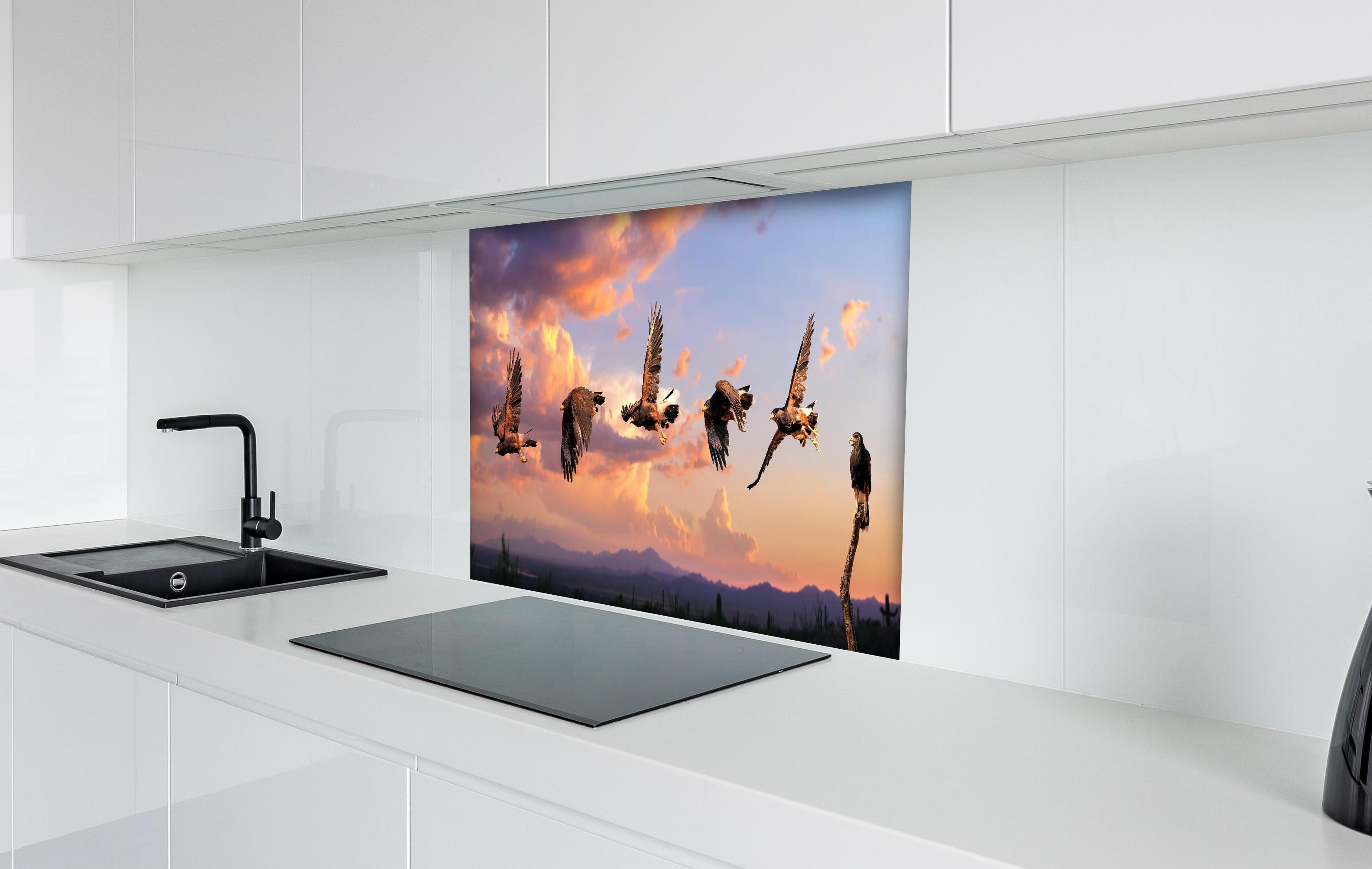 Spritzschutz - Harris Hawk Flug gegen blauen Himmel hinter einem Cerankochfeld zwischen Holz-Kochutensilien