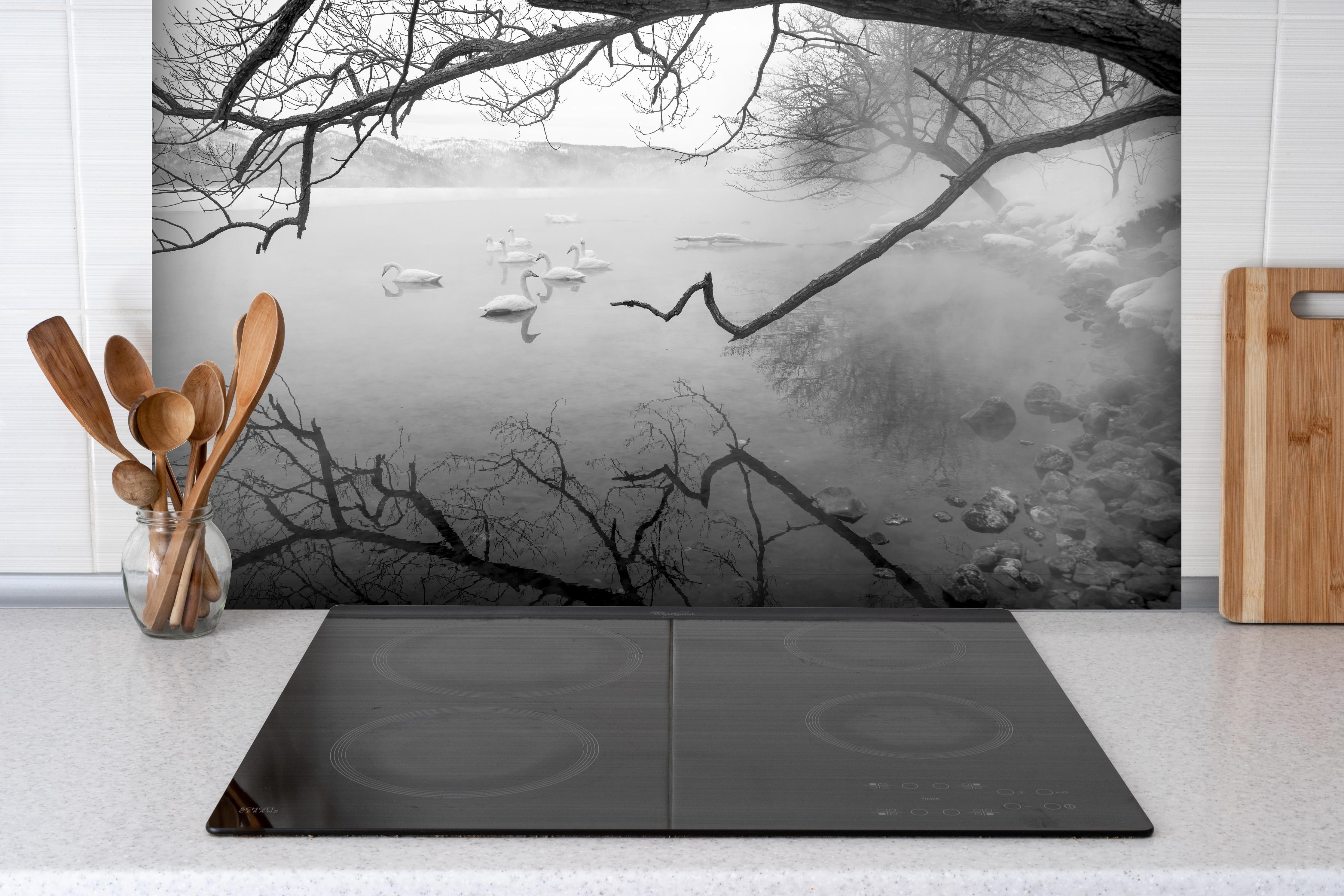 Spritzschutz - Heiße Quelle mit Schwänen hinter einem Cerankochfeld zwischen Holz-Kochutensilien