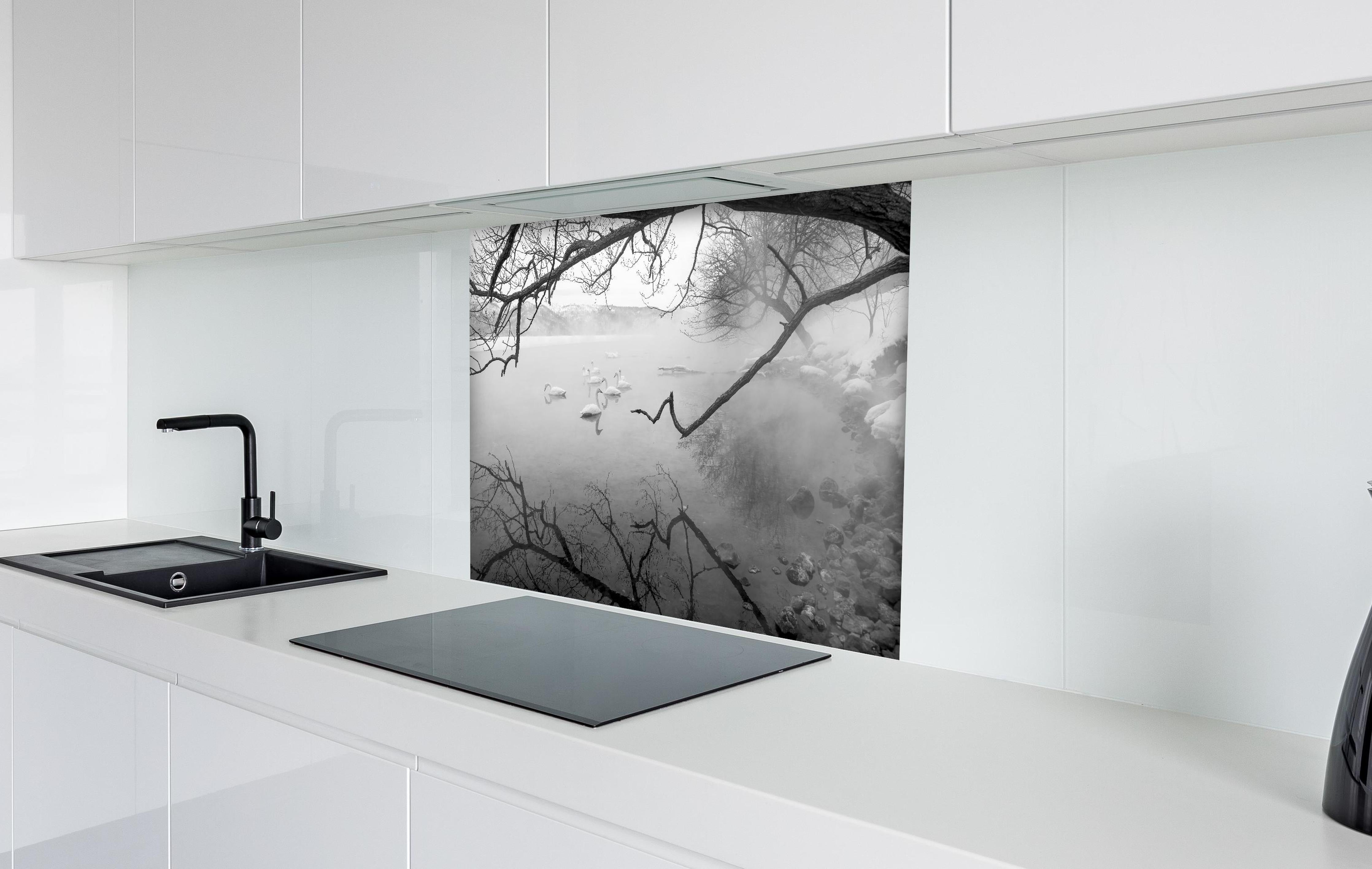 Spritzschutz - Heiße Quelle mit Schwänen hinter einem Cerankochfeld zwischen Holz-Kochutensilien