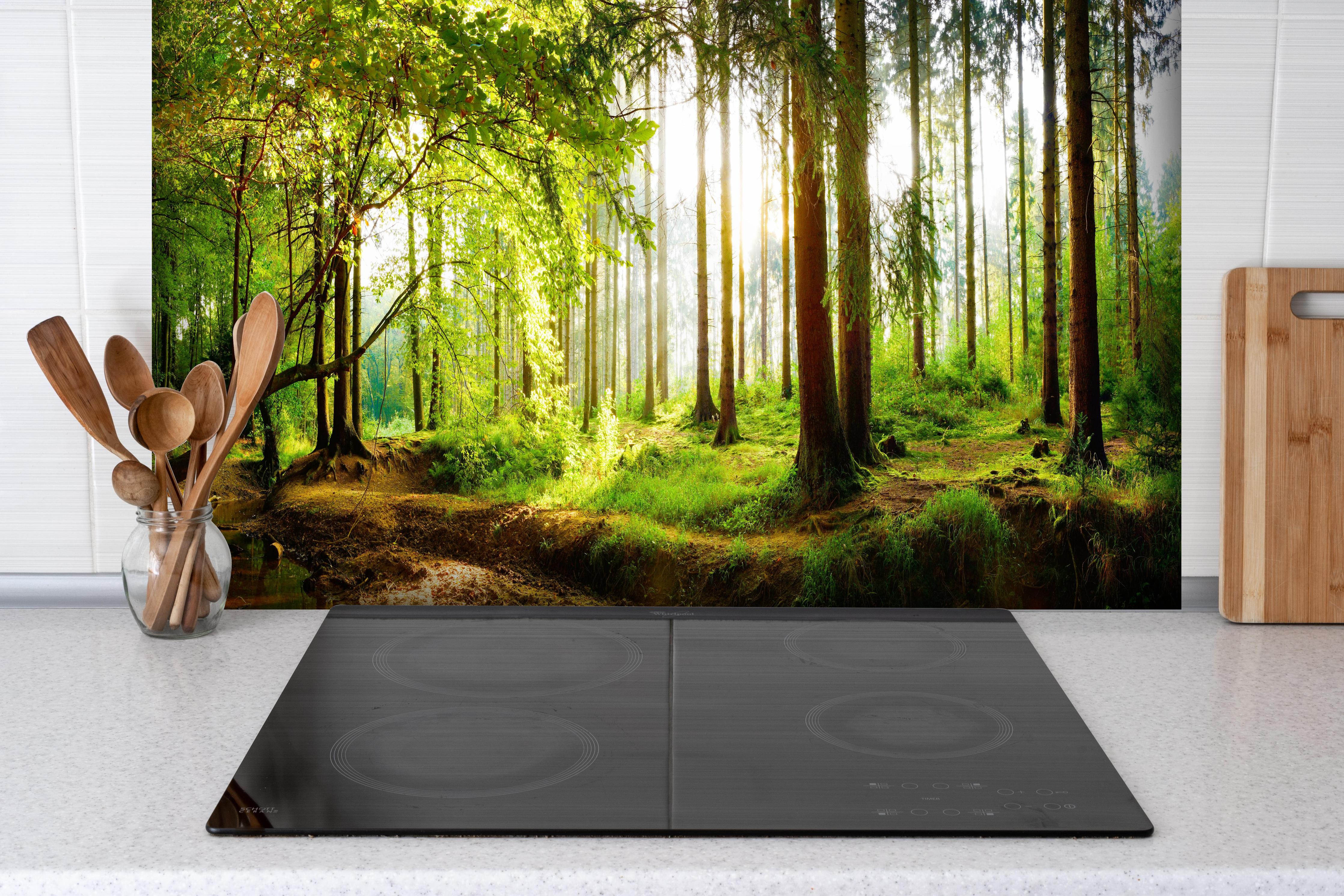 Spritzschutz - Heller Frühlingswald Sonnendurchflutet hinter einem Cerankochfeld zwischen Holz-Kochutensilien