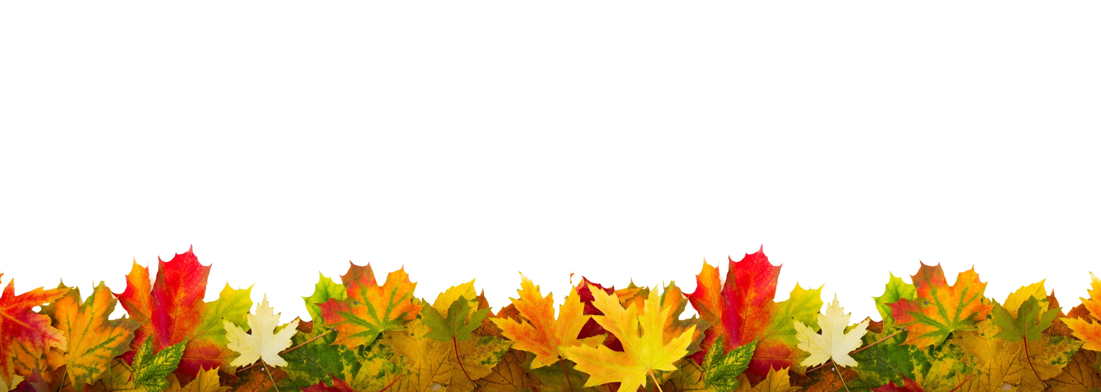 Spritzschutz-Herbst Laub