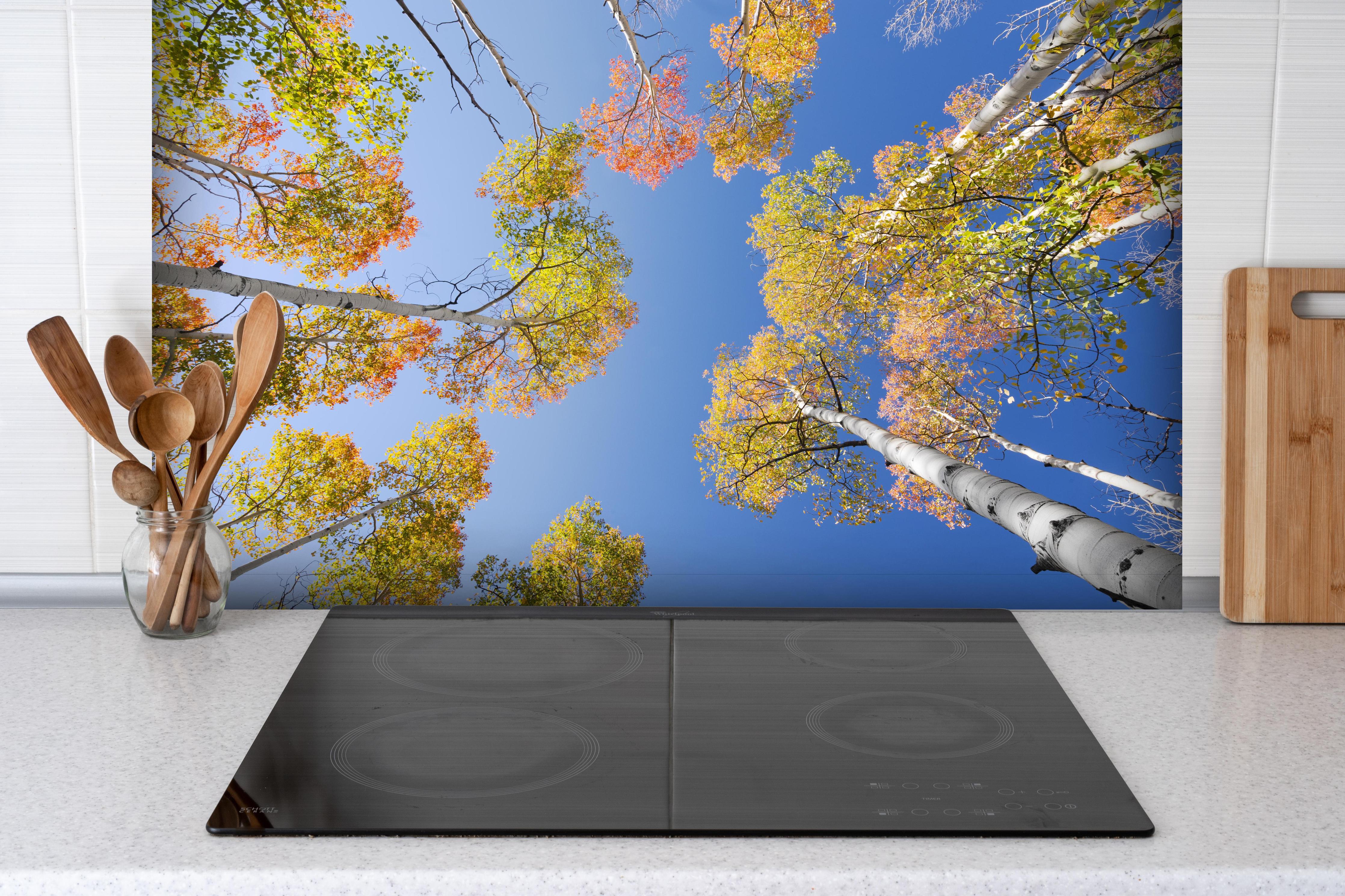 Spritzschutz - Herbstliche Birken hinter einem Cerankochfeld zwischen Holz-Kochutensilien