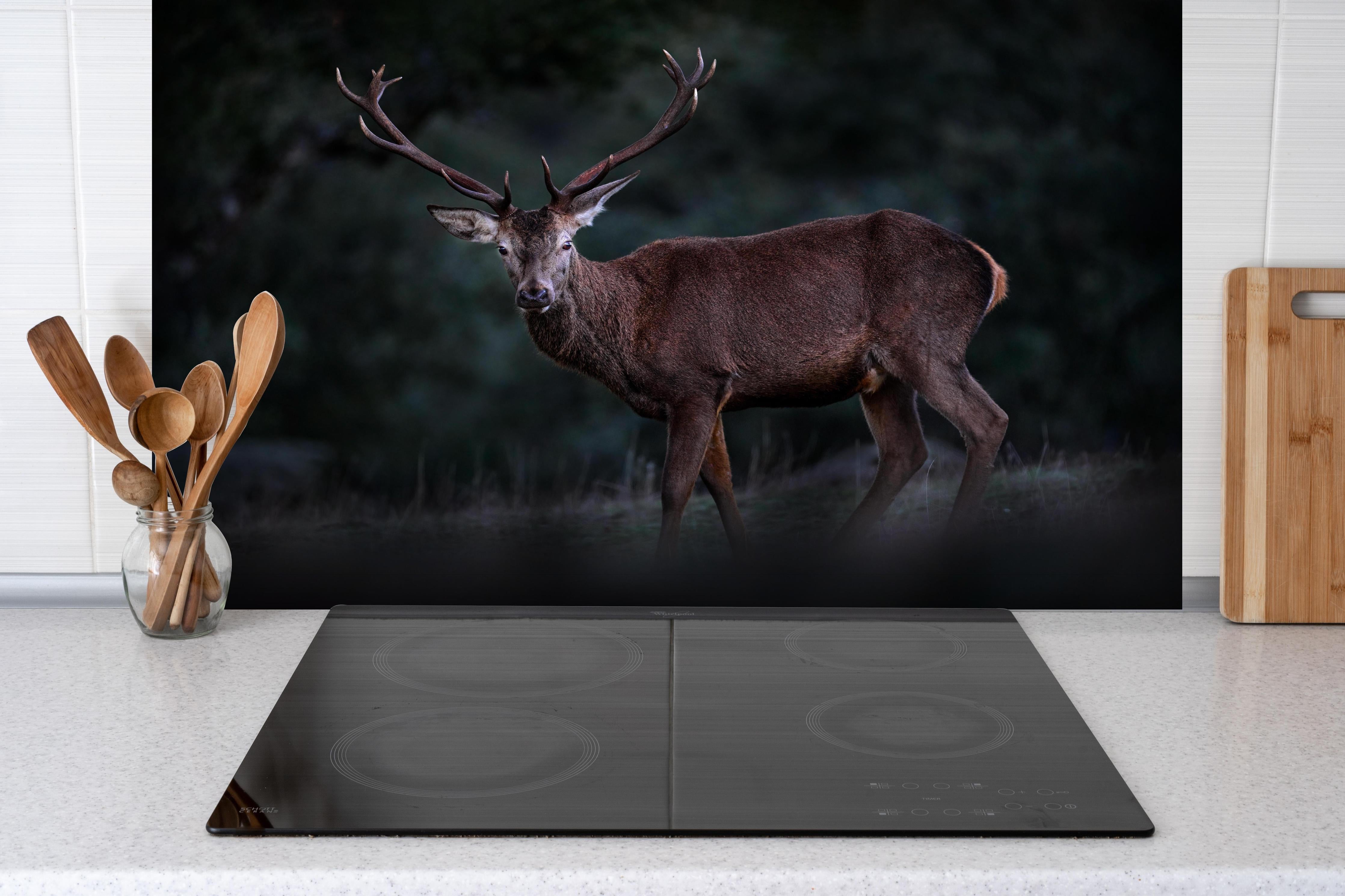 Spritzschutz - Hirsche Gebirge Sierra de Andujar hinter einem Cerankochfeld zwischen Holz-Kochutensilien