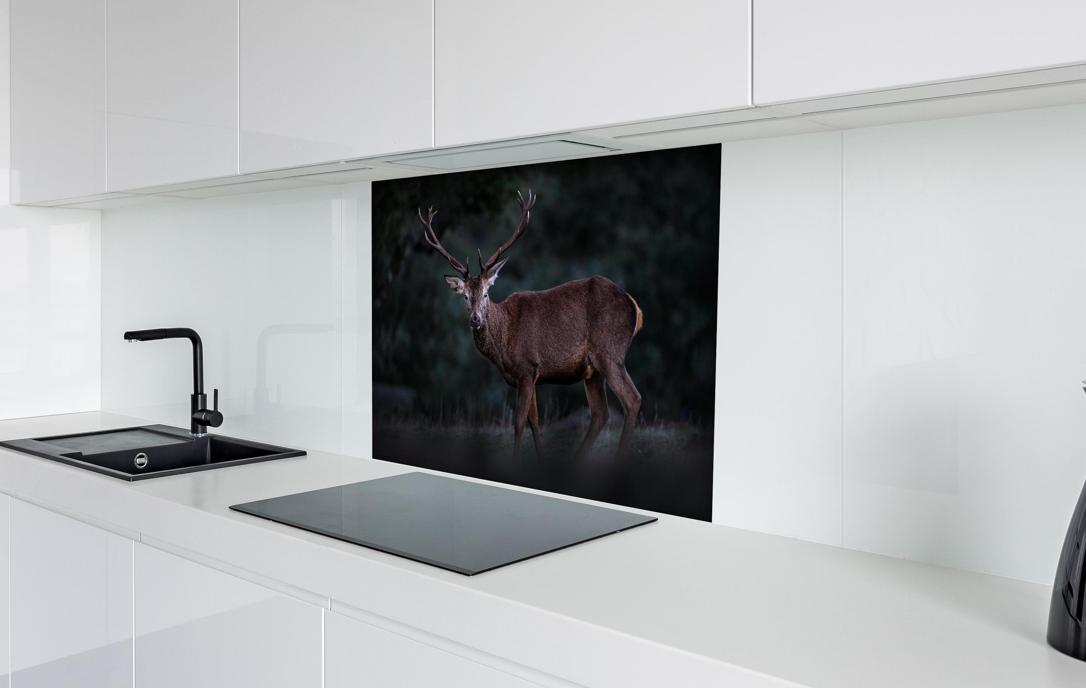 Spritzschutz - Hirsche Gebirge Sierra de Andujar hinter einem Cerankochfeld zwischen Holz-Kochutensilien