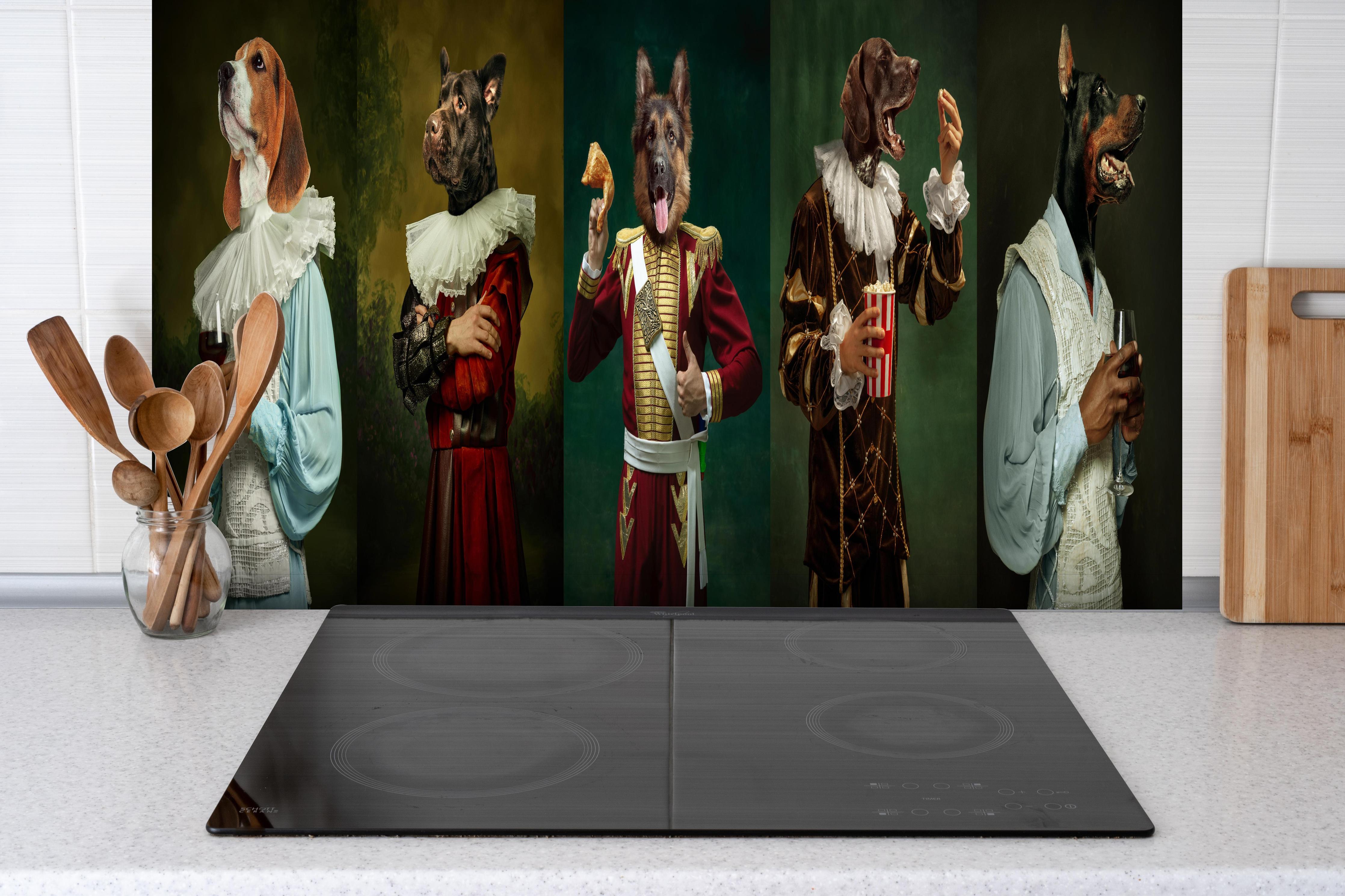 Spritzschutz - Hundeköpfe in historischer Adelskleidung hinter einem Cerankochfeld zwischen Holz-Kochutensilien