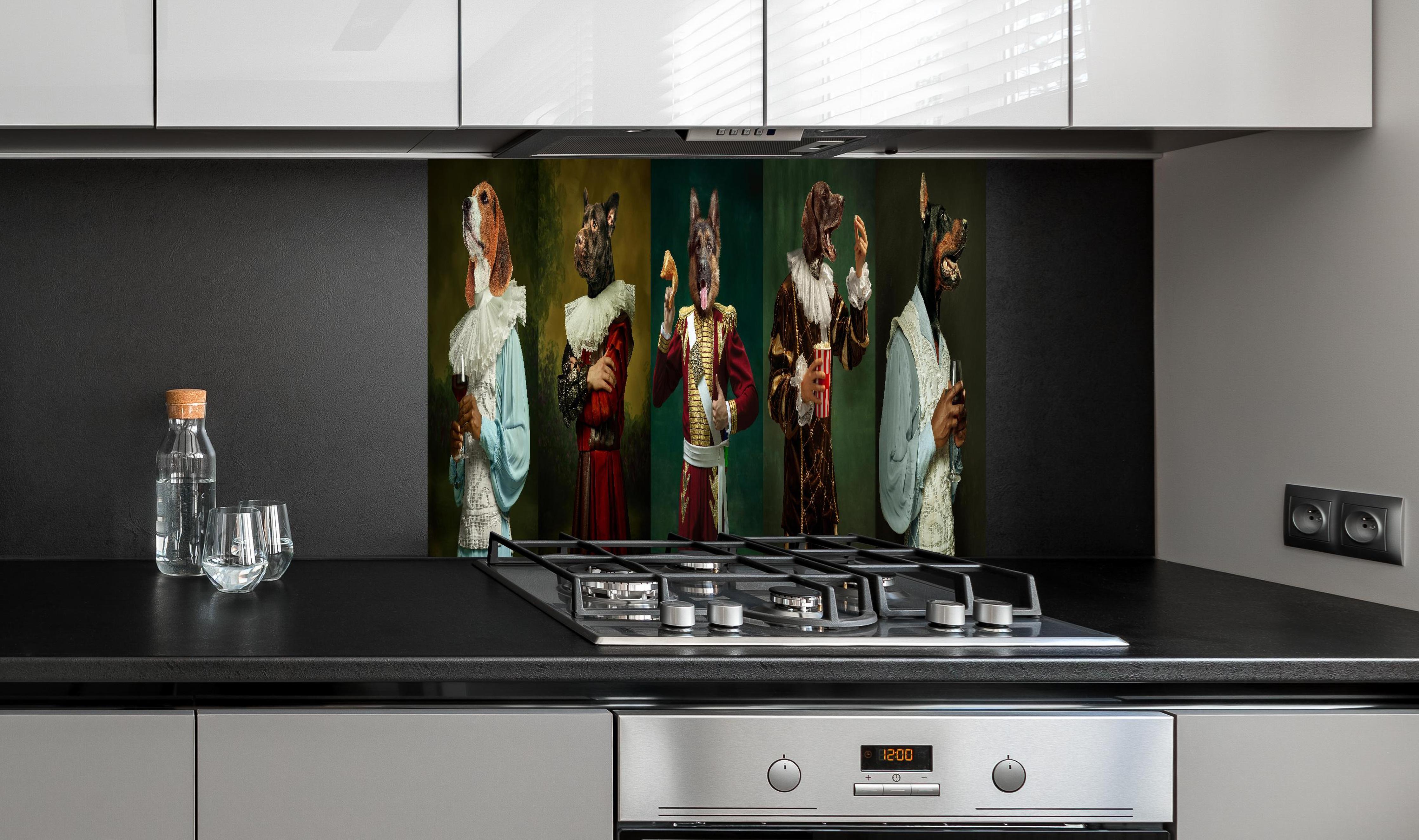 Spritzschutz - Hundeköpfe in historischer Adelskleidung hinter einem Cerankochfeld zwischen Holz-Kochutensilien