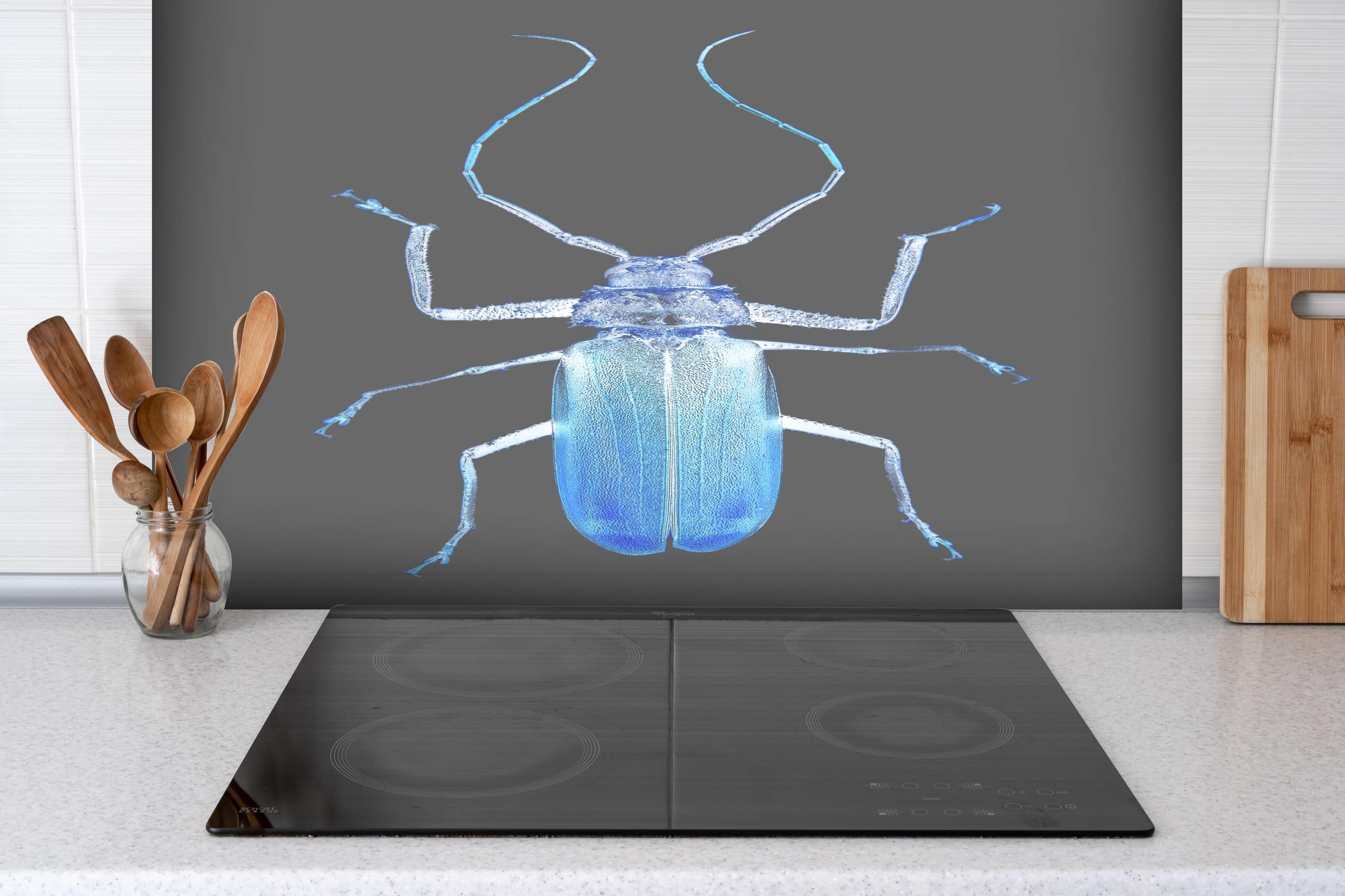 Spritzschutz - Insekt - Nahaufnahme hinter einem Cerankochfeld zwischen Holz-Kochutensilien