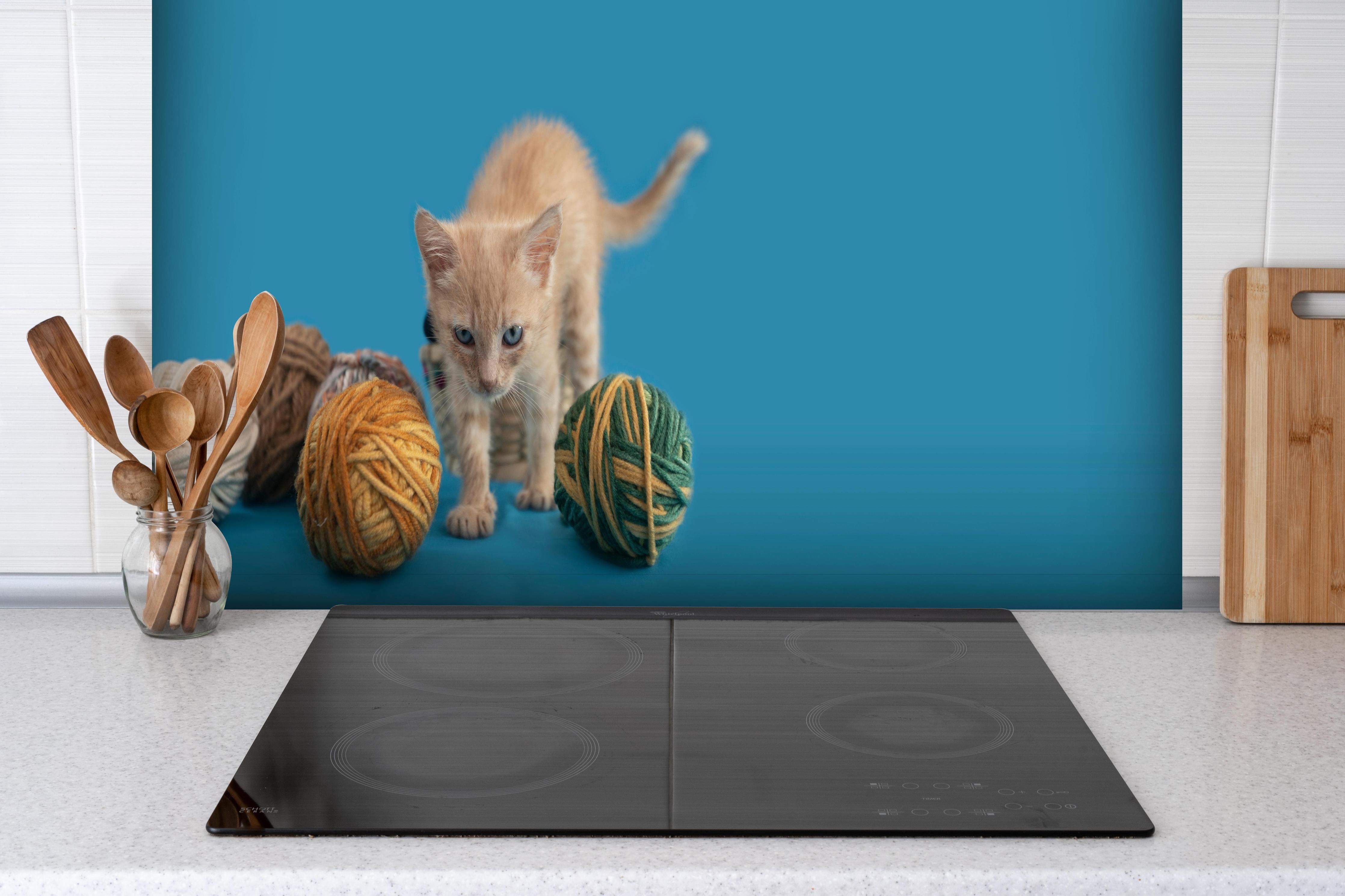 Spritzschutz - Katzenbaby spielt mit Wollknollen hinter einem Cerankochfeld zwischen Holz-Kochutensilien