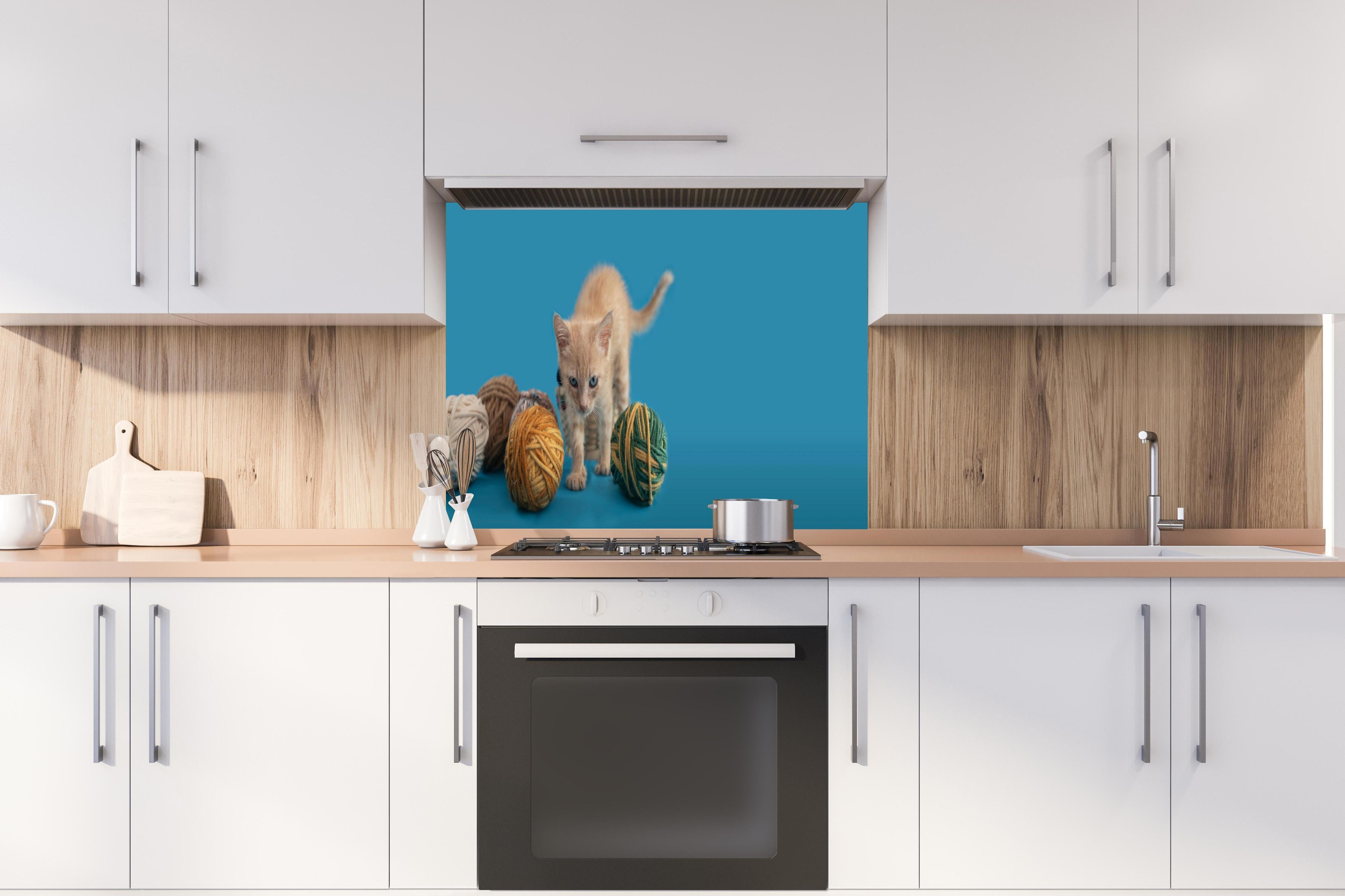 Spritzschutz - Katzenbaby spielt mit Wollknollen hinter einem Cerankochfeld zwischen Holz-Kochutensilien