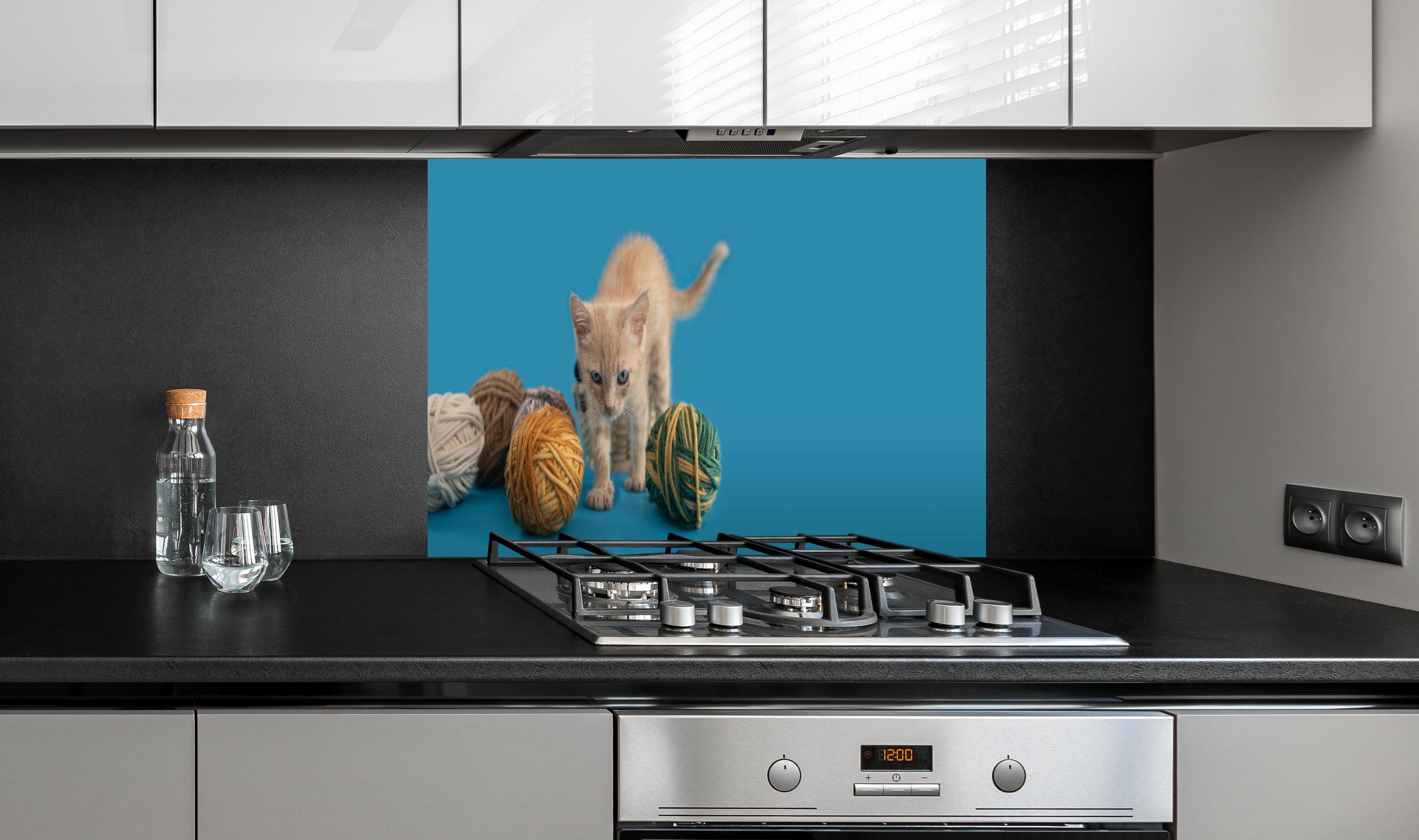 Spritzschutz - Katzenbaby spielt mit Wollknollen hinter einem Cerankochfeld zwischen Holz-Kochutensilien