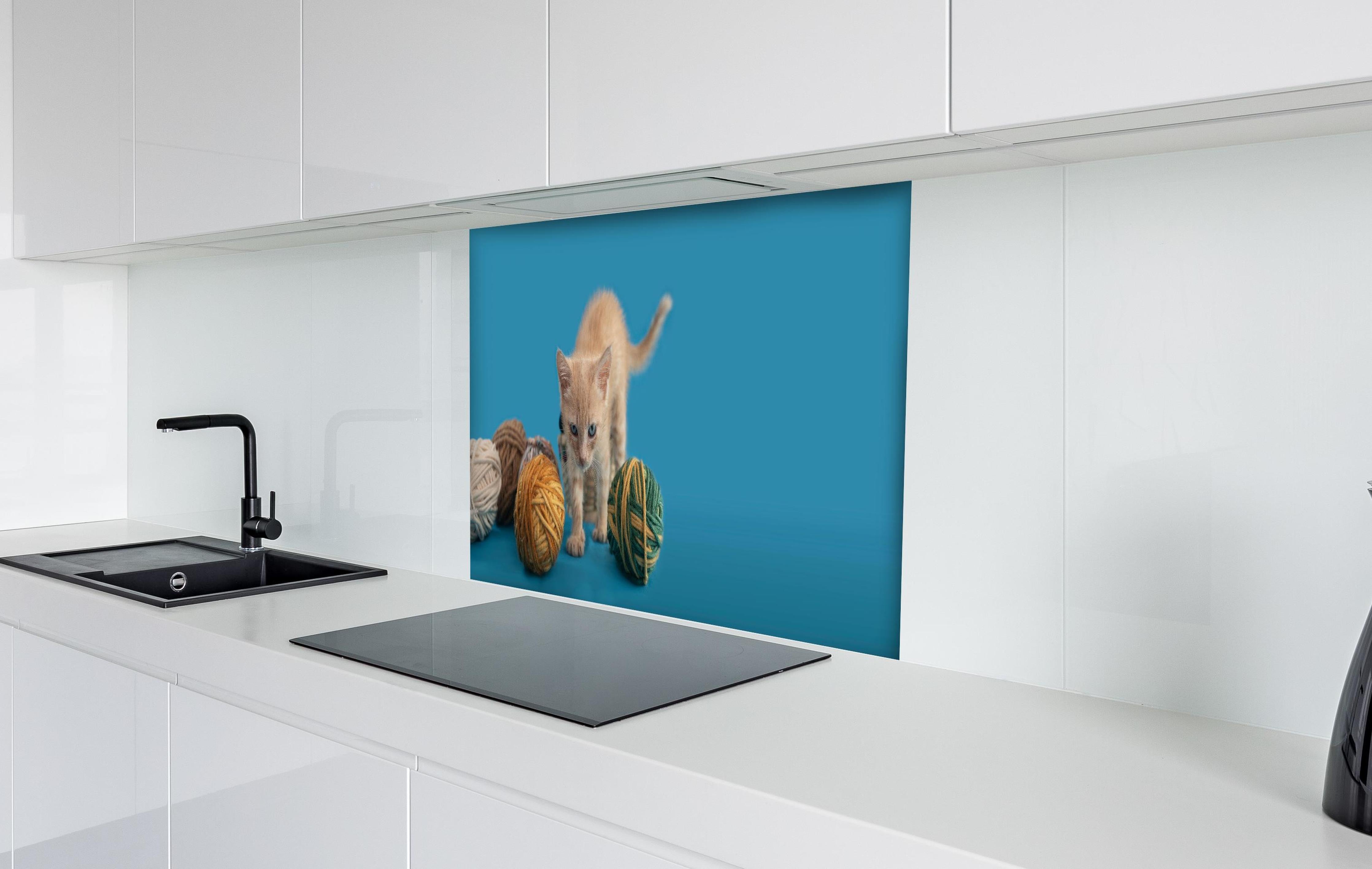 Spritzschutz - Katzenbaby spielt mit Wollknollen hinter einem Cerankochfeld zwischen Holz-Kochutensilien