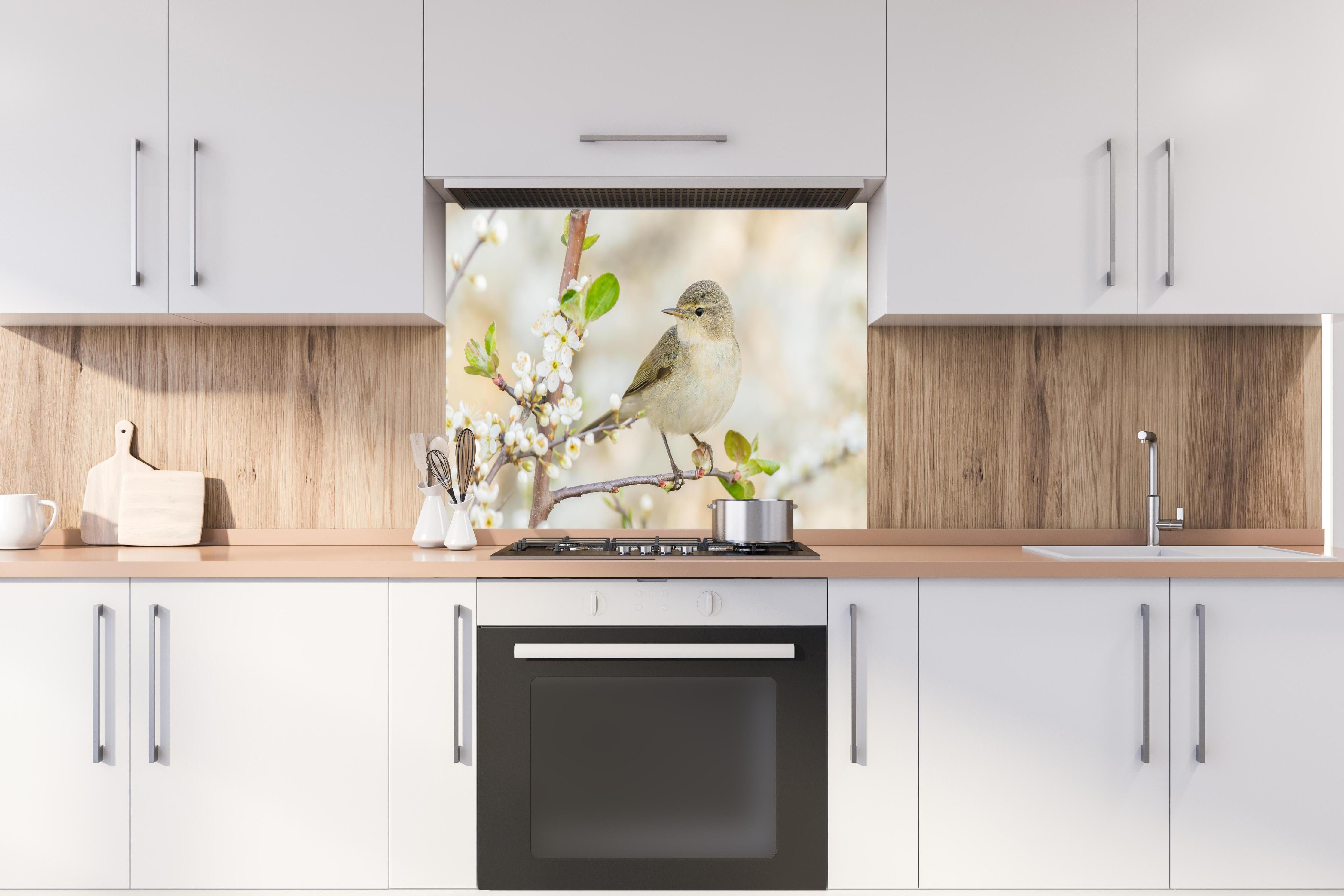 Spritzschutz - Kleiner Vogel am Baumzweig hinter einem Cerankochfeld zwischen Holz-Kochutensilien