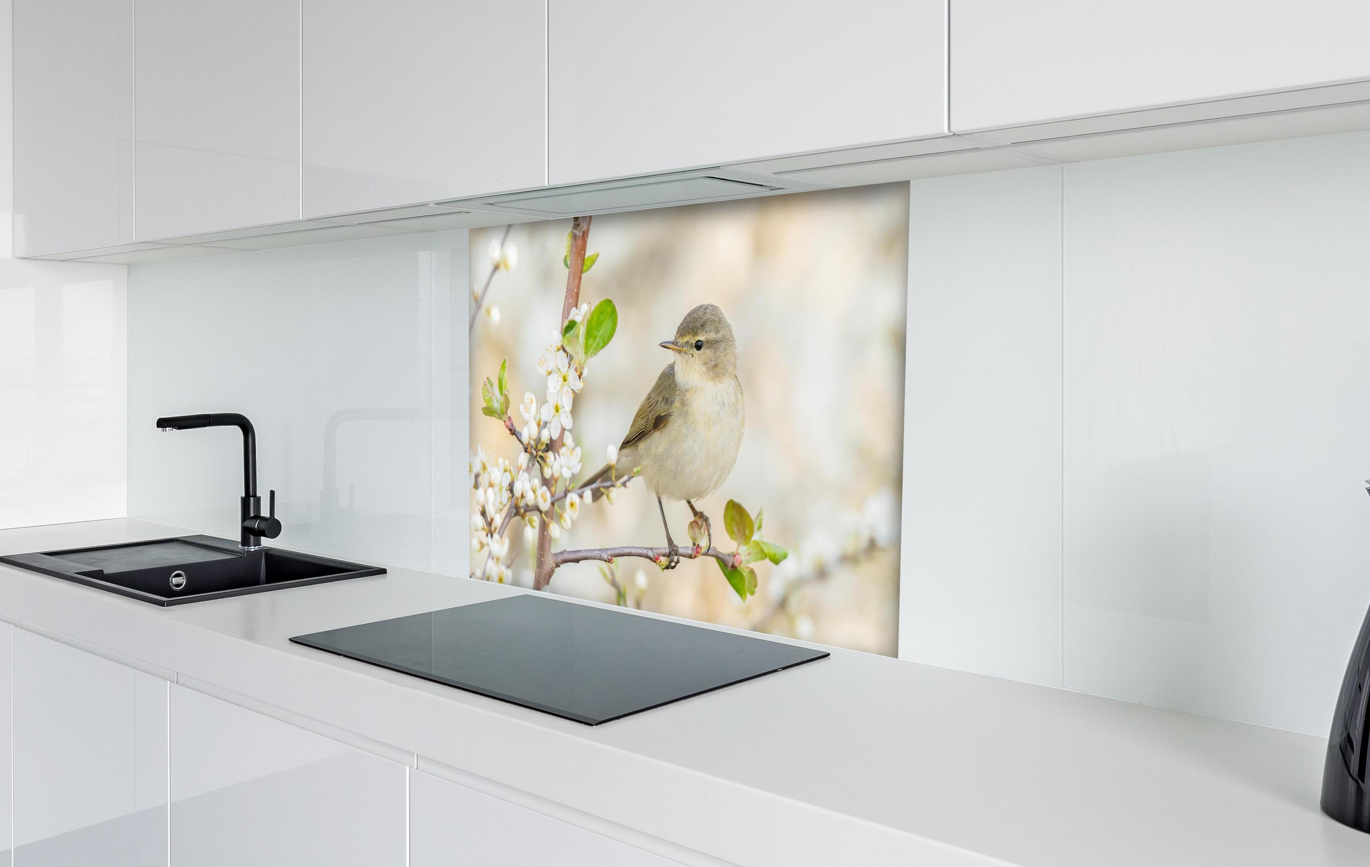 Spritzschutz - Kleiner Vogel am Baumzweig hinter einem Cerankochfeld zwischen Holz-Kochutensilien