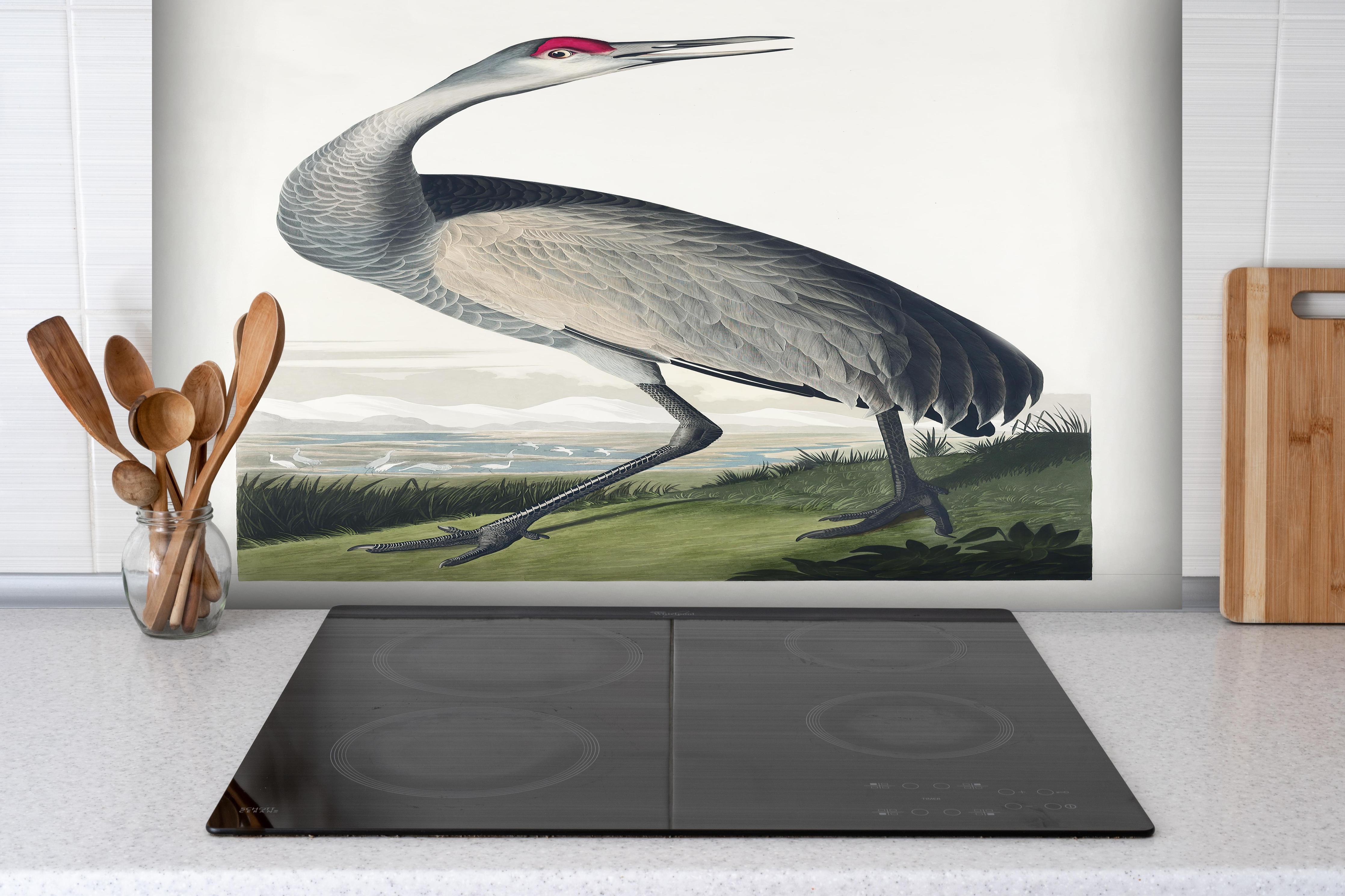 Spritzschutz - Kranisch Portrait - Robert Havell hinter einem Cerankochfeld zwischen Holz-Kochutensilien