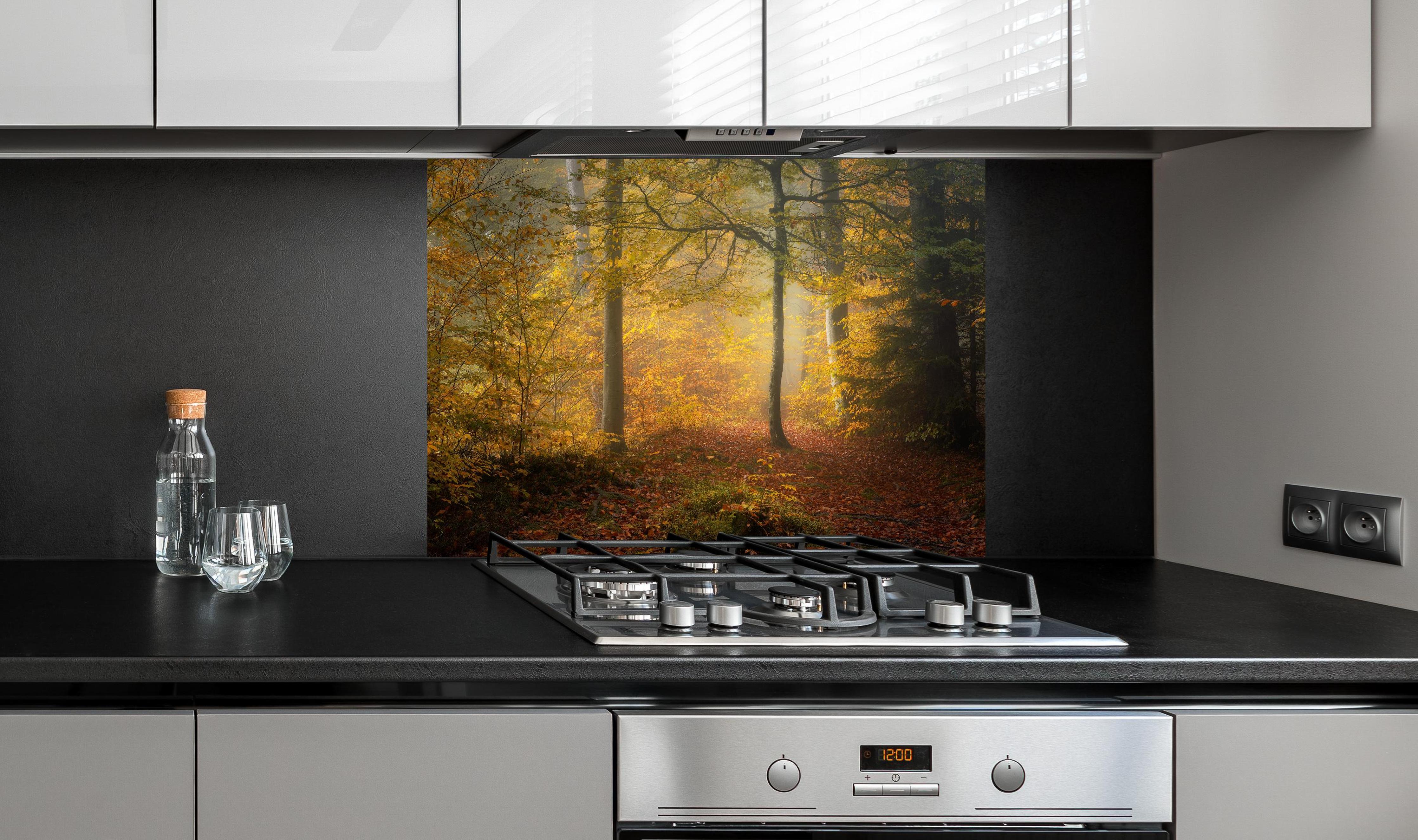 Spritzschutz - Laub im Wald hinter einem Cerankochfeld zwischen Holz-Kochutensilien